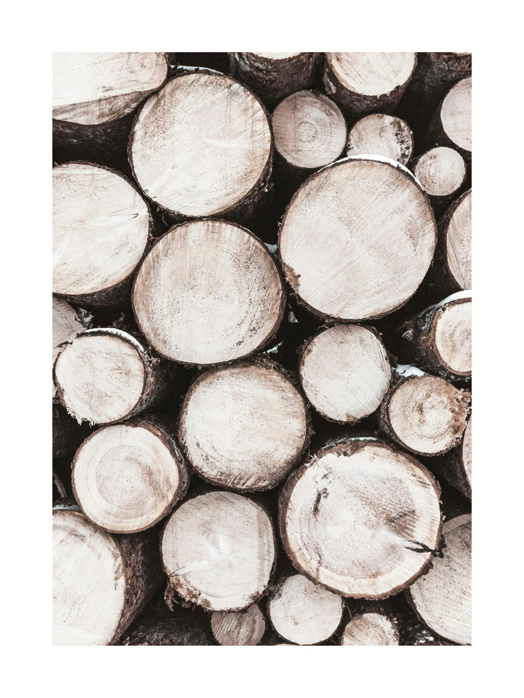 Un poster cu bușteni de lemn tăiați, stivuiți, cu detalii ale inelelor de creștere și scoarței, în tonuri de maro.
