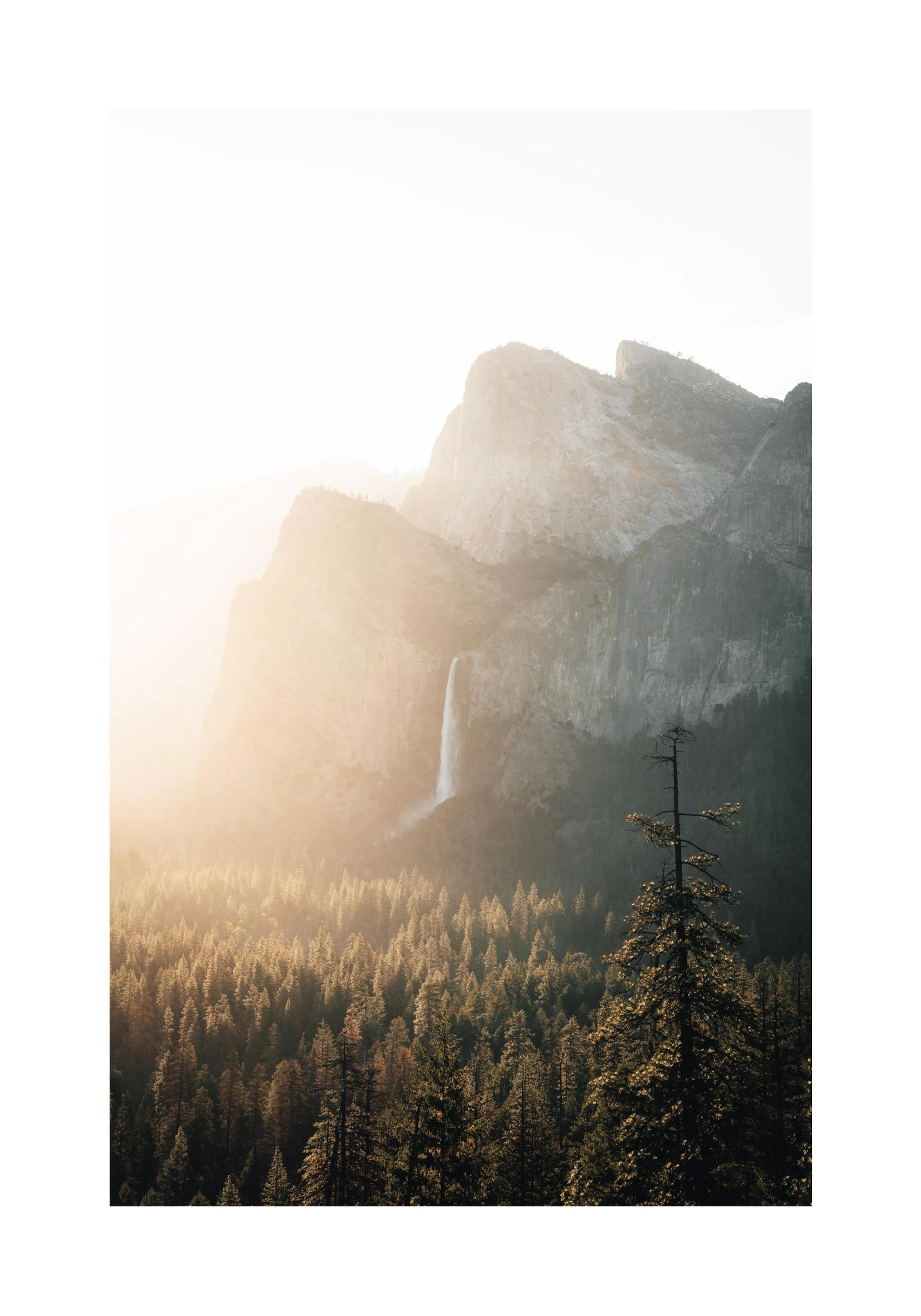 A poster featuring a sunlit mountain landscape with a tall waterfall cascading down, surrounded by a dense forest.