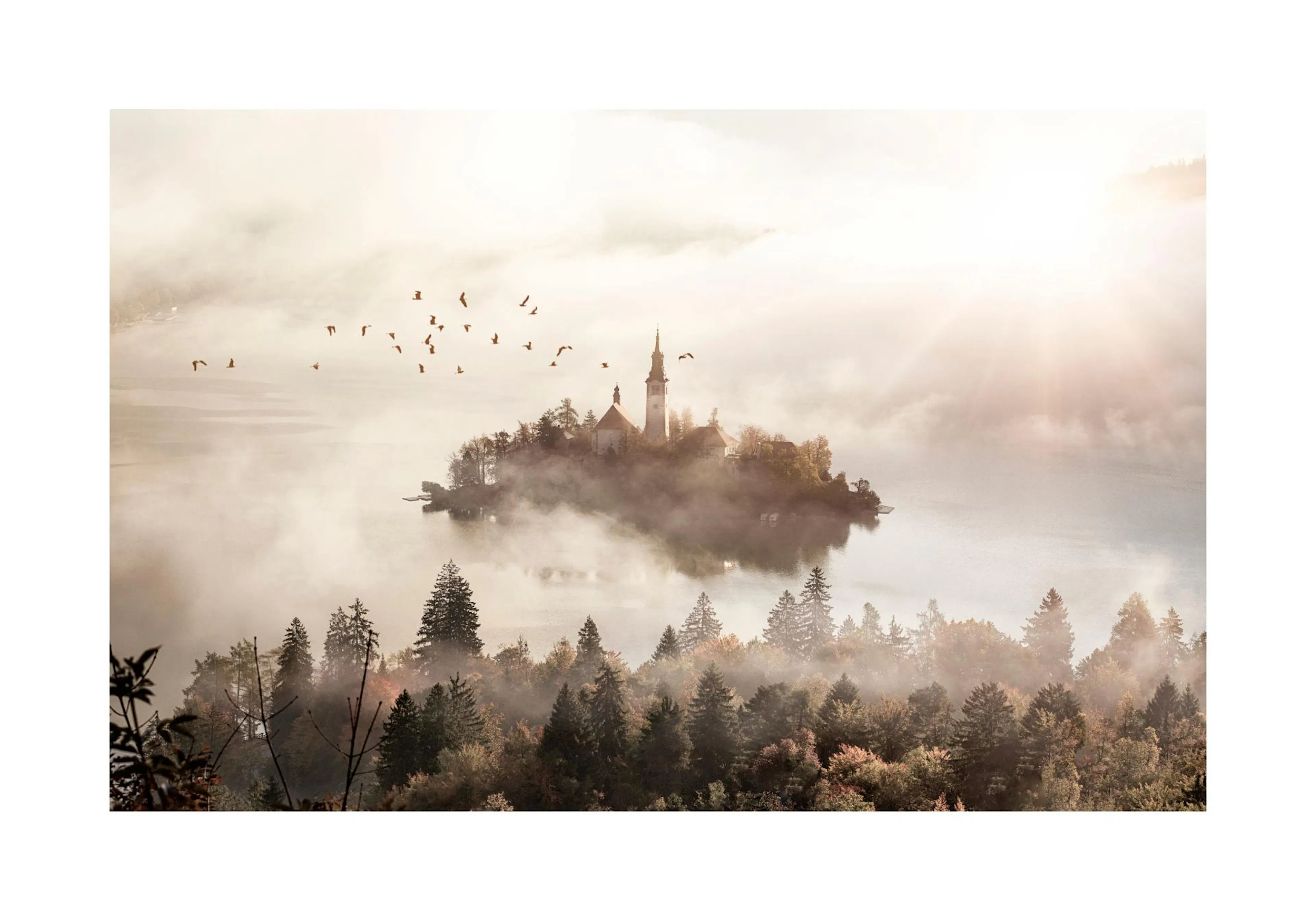 A poster featuring a misty island with a church and trees, with sun rays breaking through the fog and birds flying above.
