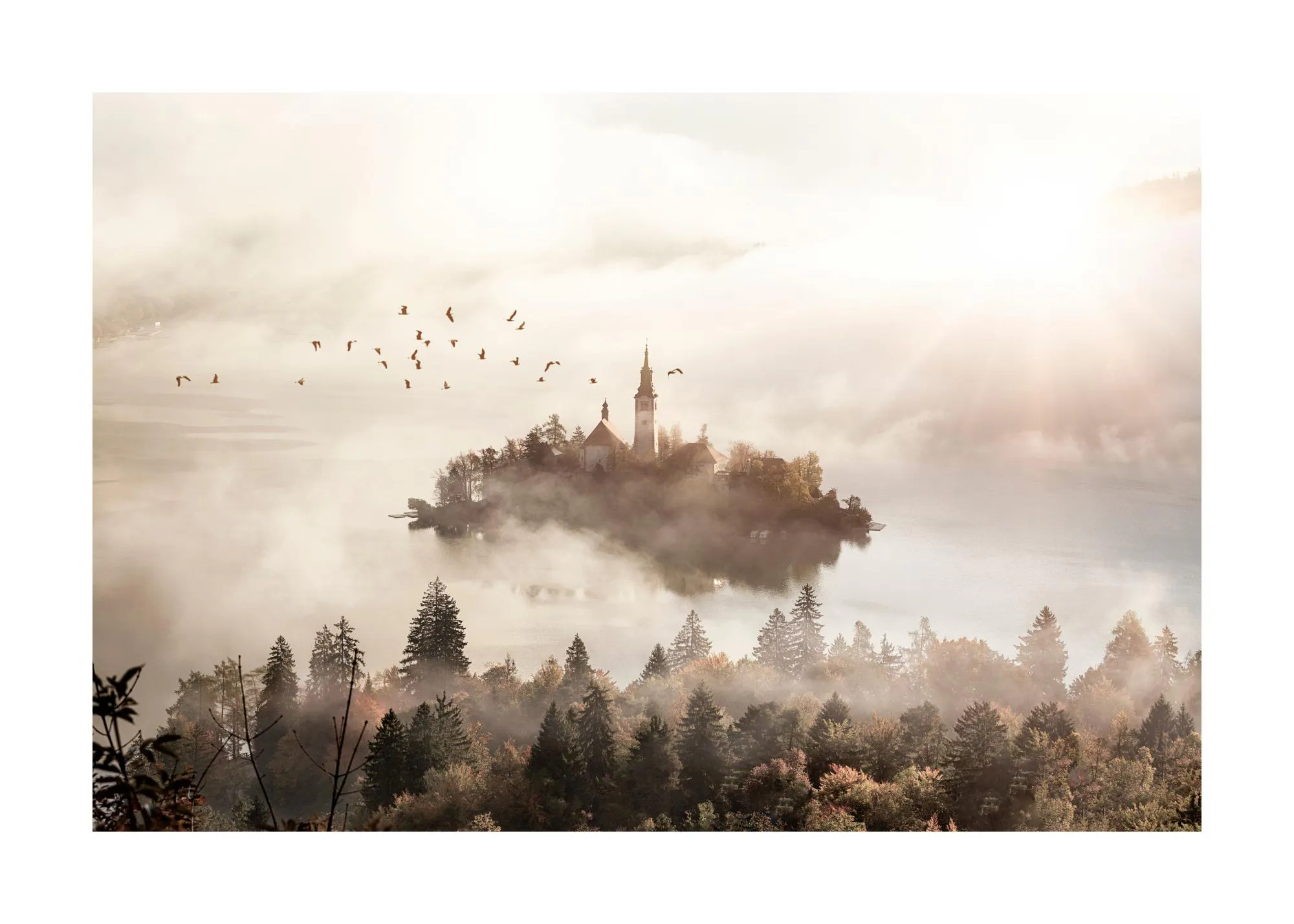 Poster mit einer nebelverhangenen Inselkirche im Bled See, umgeben von Herbstbäumen und Vögeln im Sonnenlicht.
