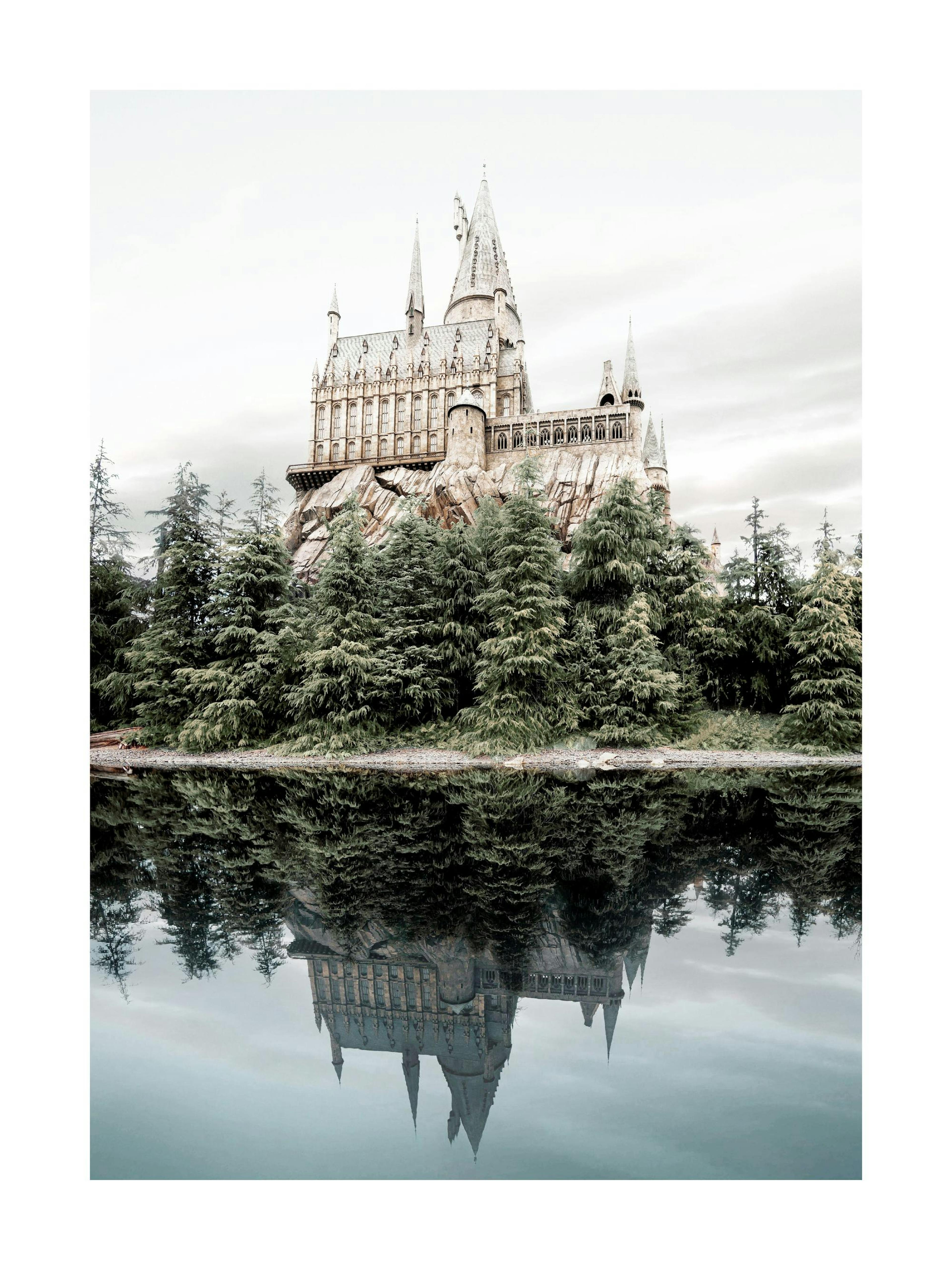 A poster featuring a large, ornate castle on a rocky cliff, reflected perfectly in the still water below.