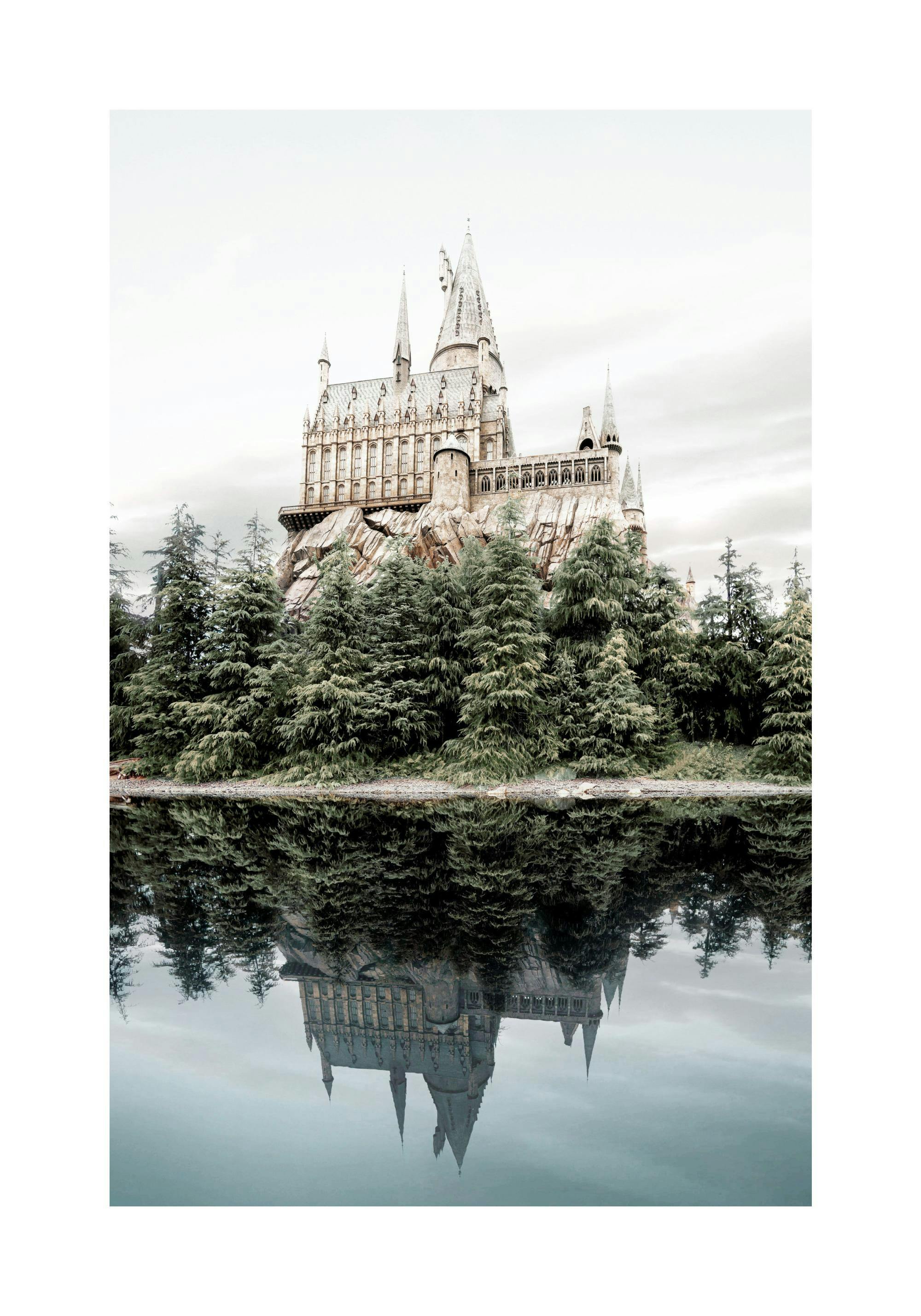 A poster featuring a majestic castle on a rocky cliff, surrounded by lush green trees, reflected in the still water below.
