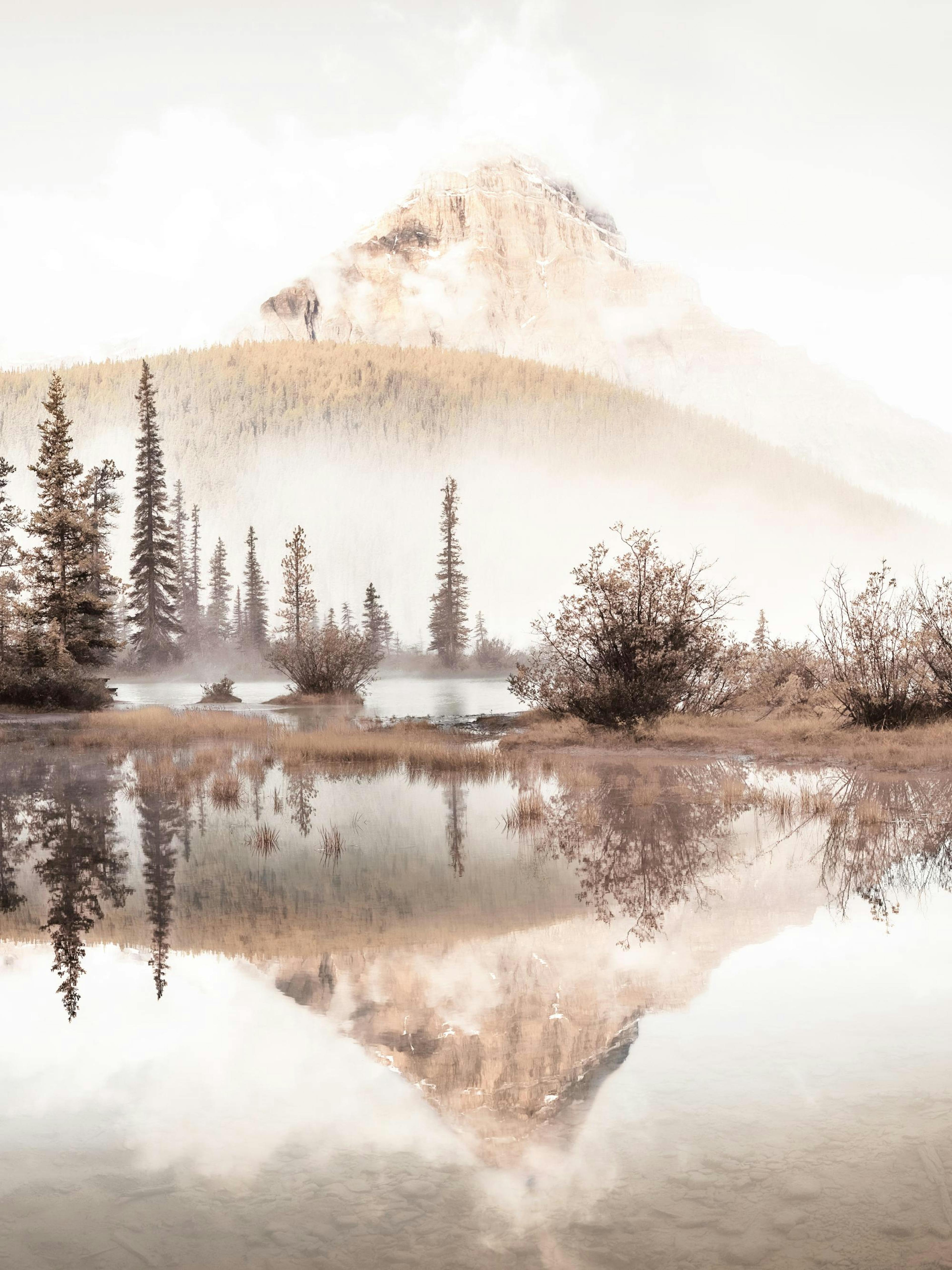 A poster featuring a foggy mountain scene with trees, bushes, and their reflections in a calm lake.