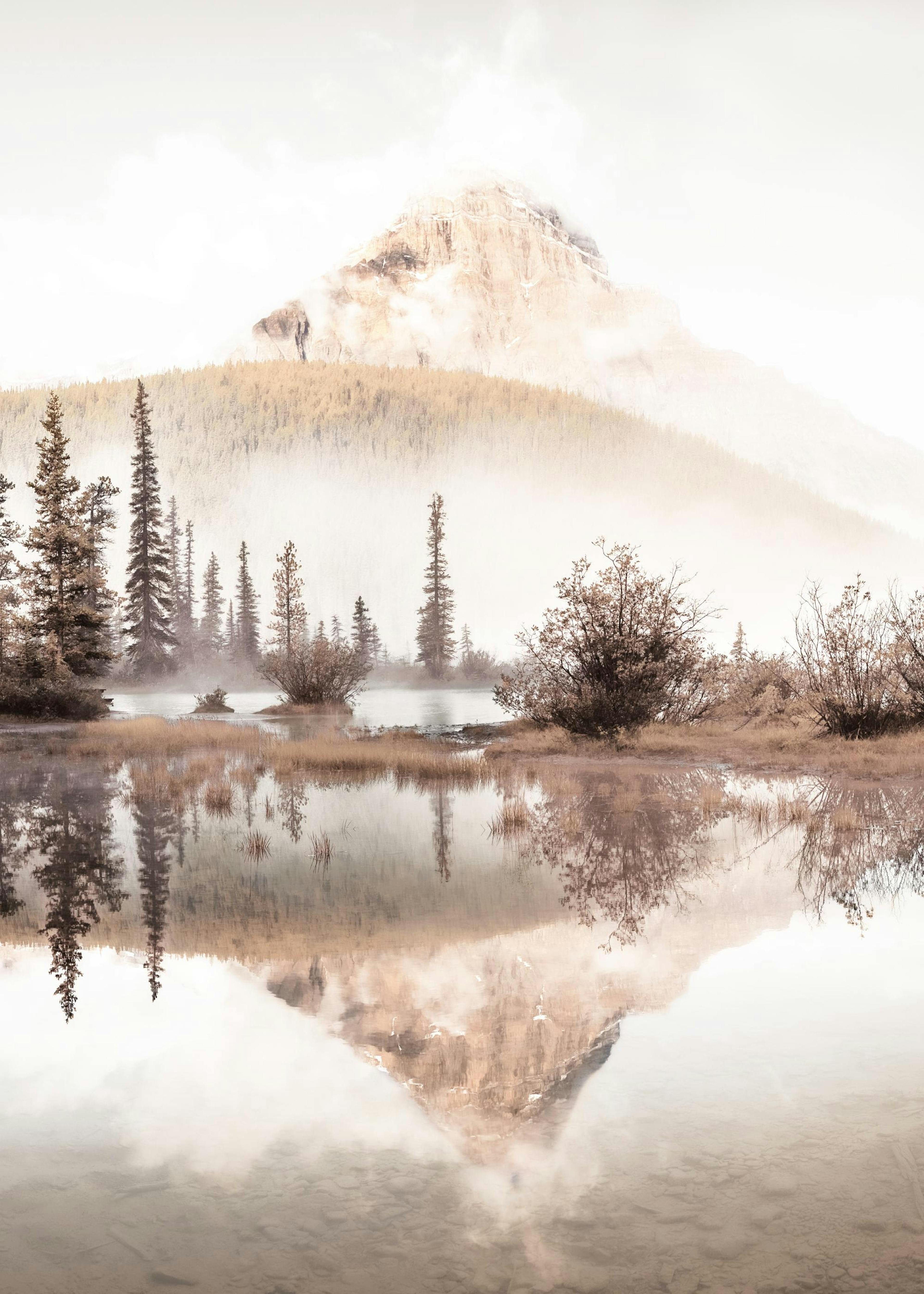 Morning Mist Poster 0