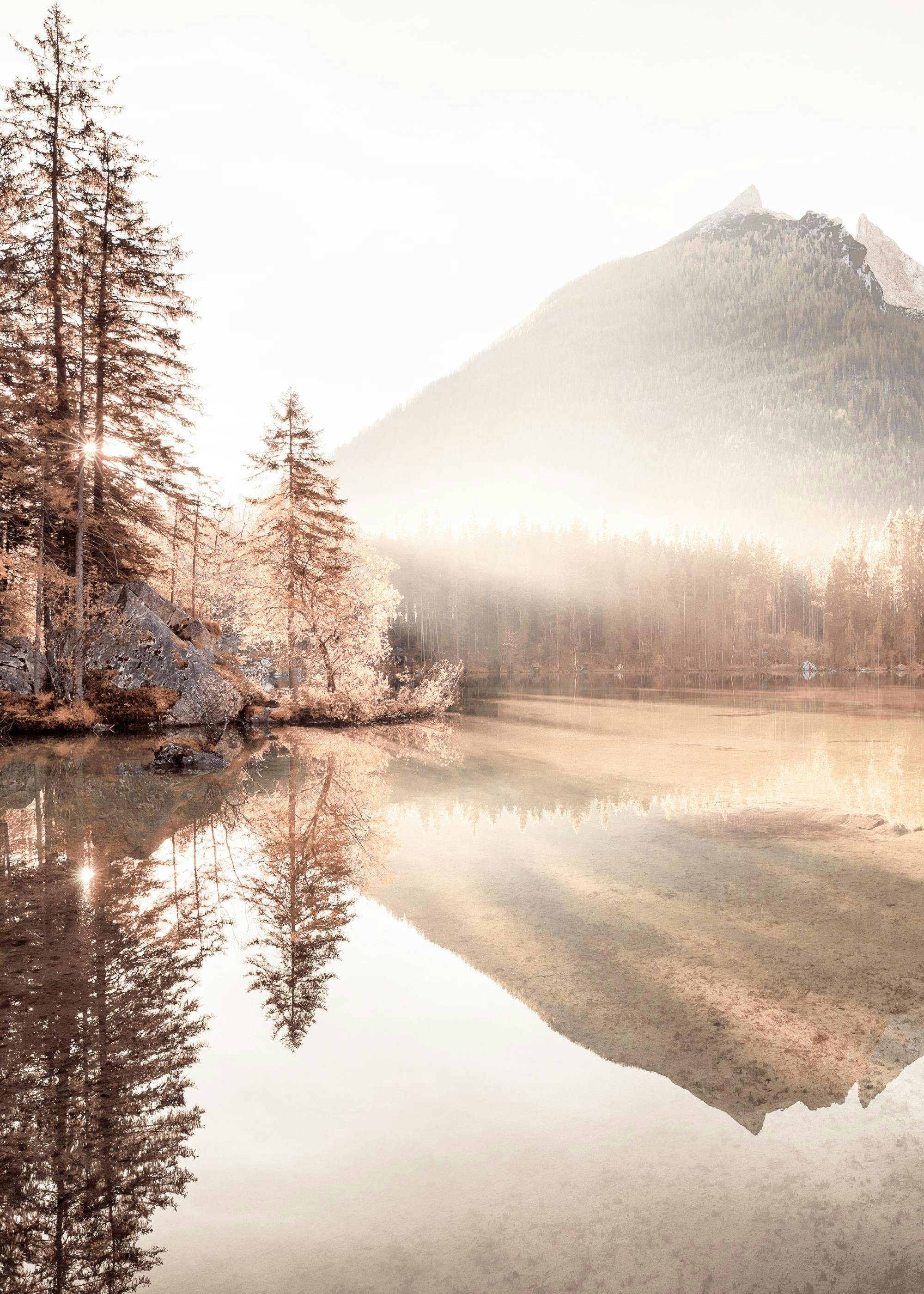 A poster of a hazy lake reflecting trees and a mountain, with sunbeams piercing through the trees.