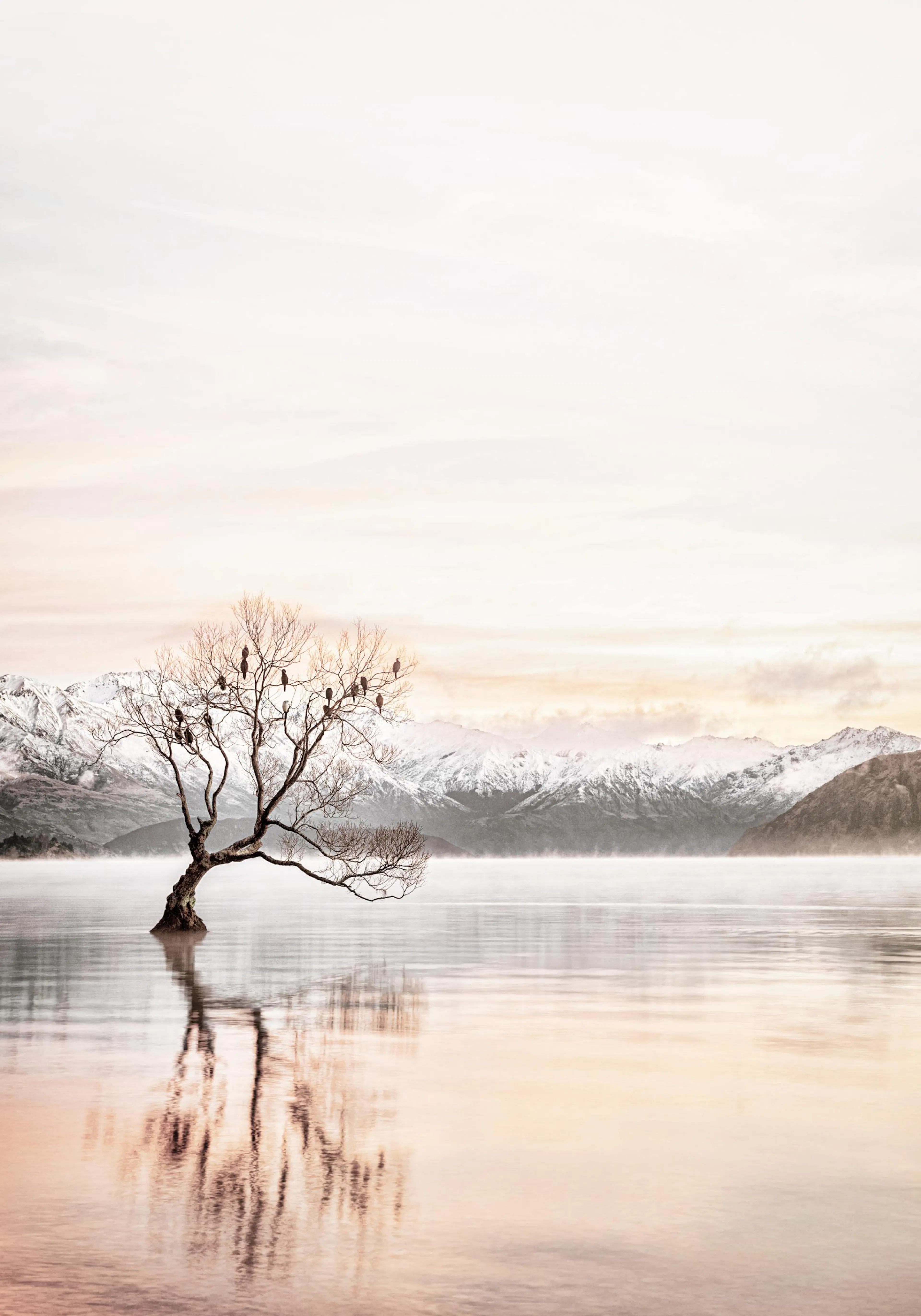 A poster featuring a lone tree in Lake Wanaka, New Zealand, with snow-capped mountains and a misty sunrise sky.