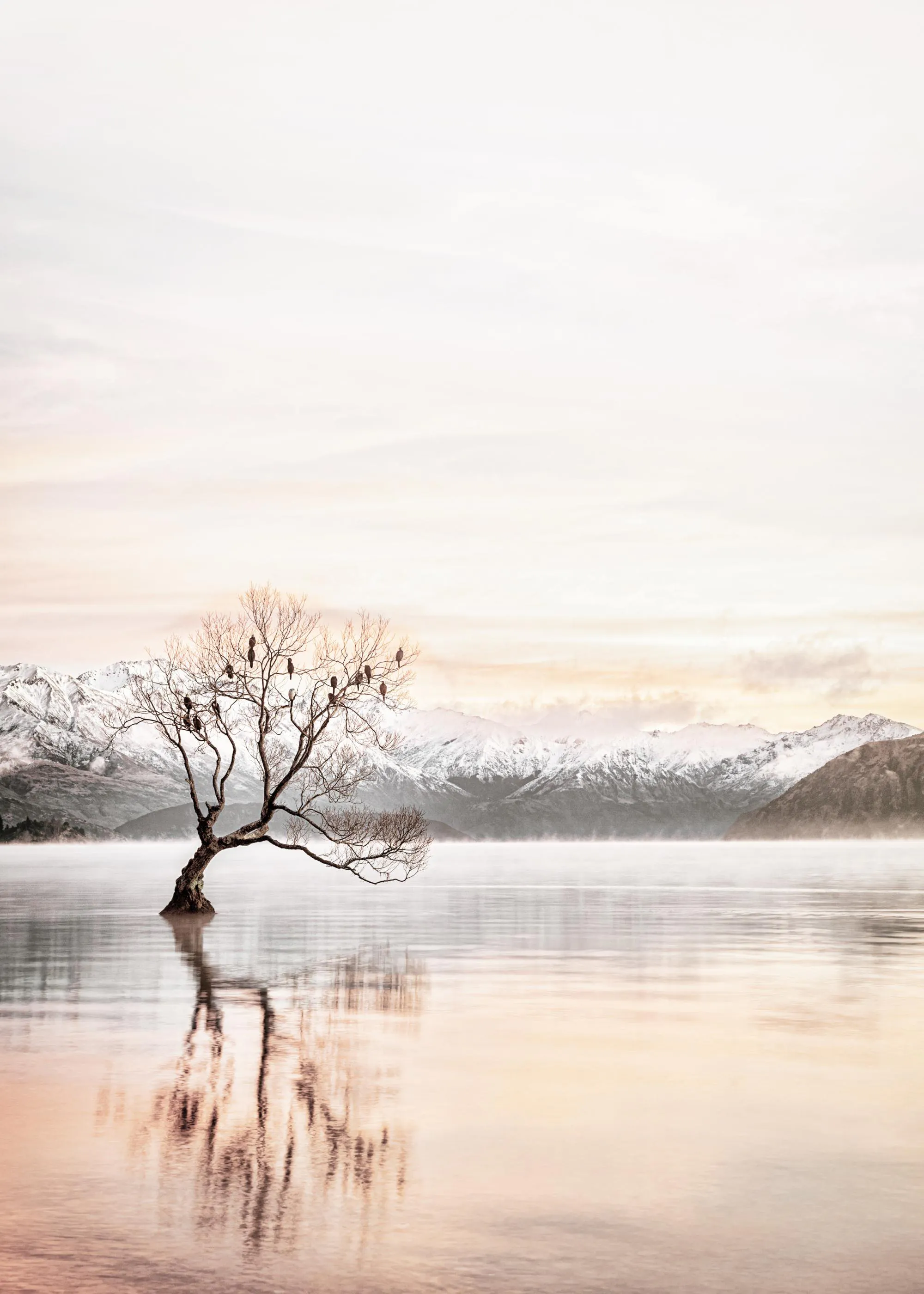 Ein Poster des Wanaka-Baums in Neuseeland, der majestätisch im Wasser steht, umgeben von schneebedeckten Bergen.