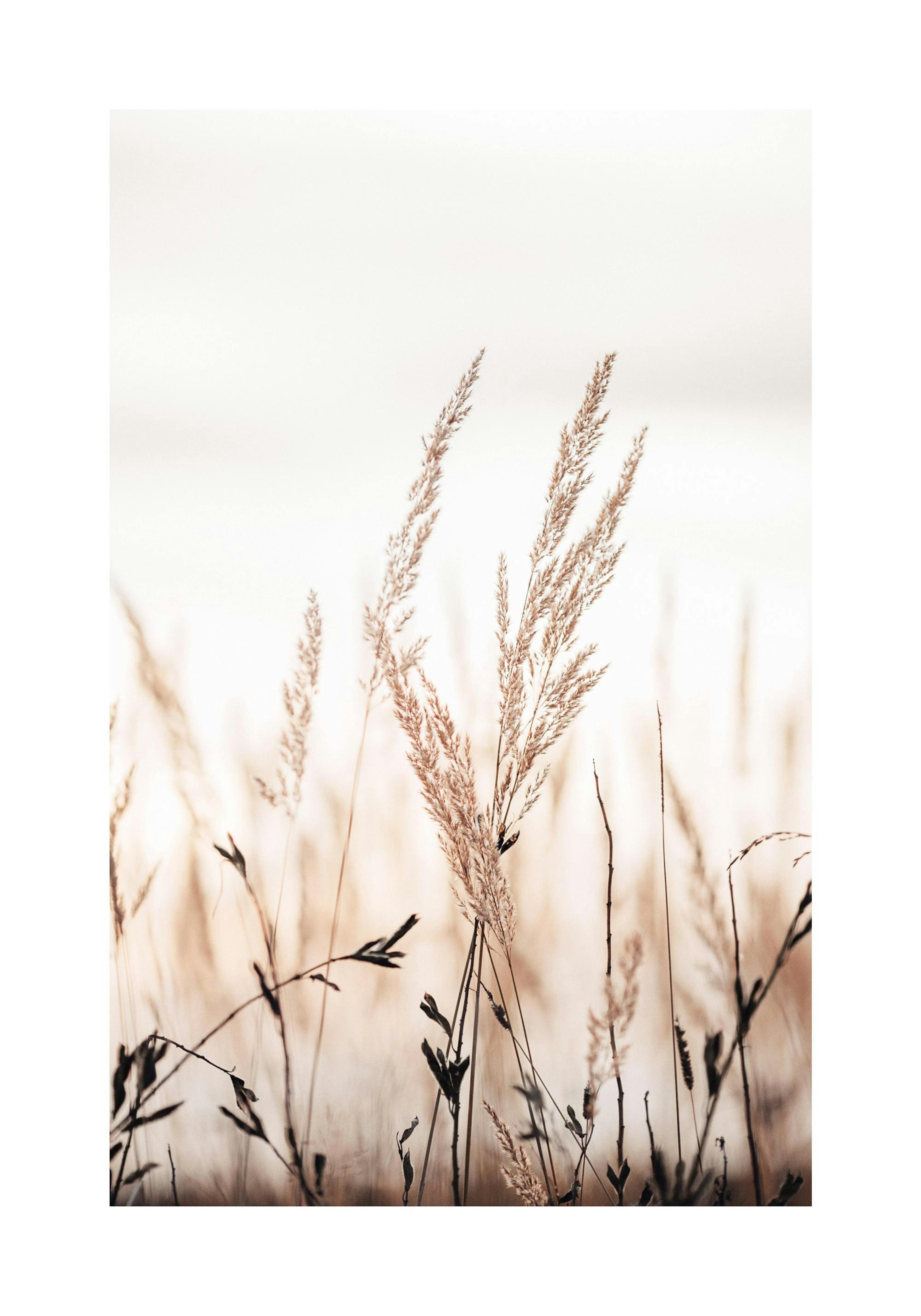 Product image: 1