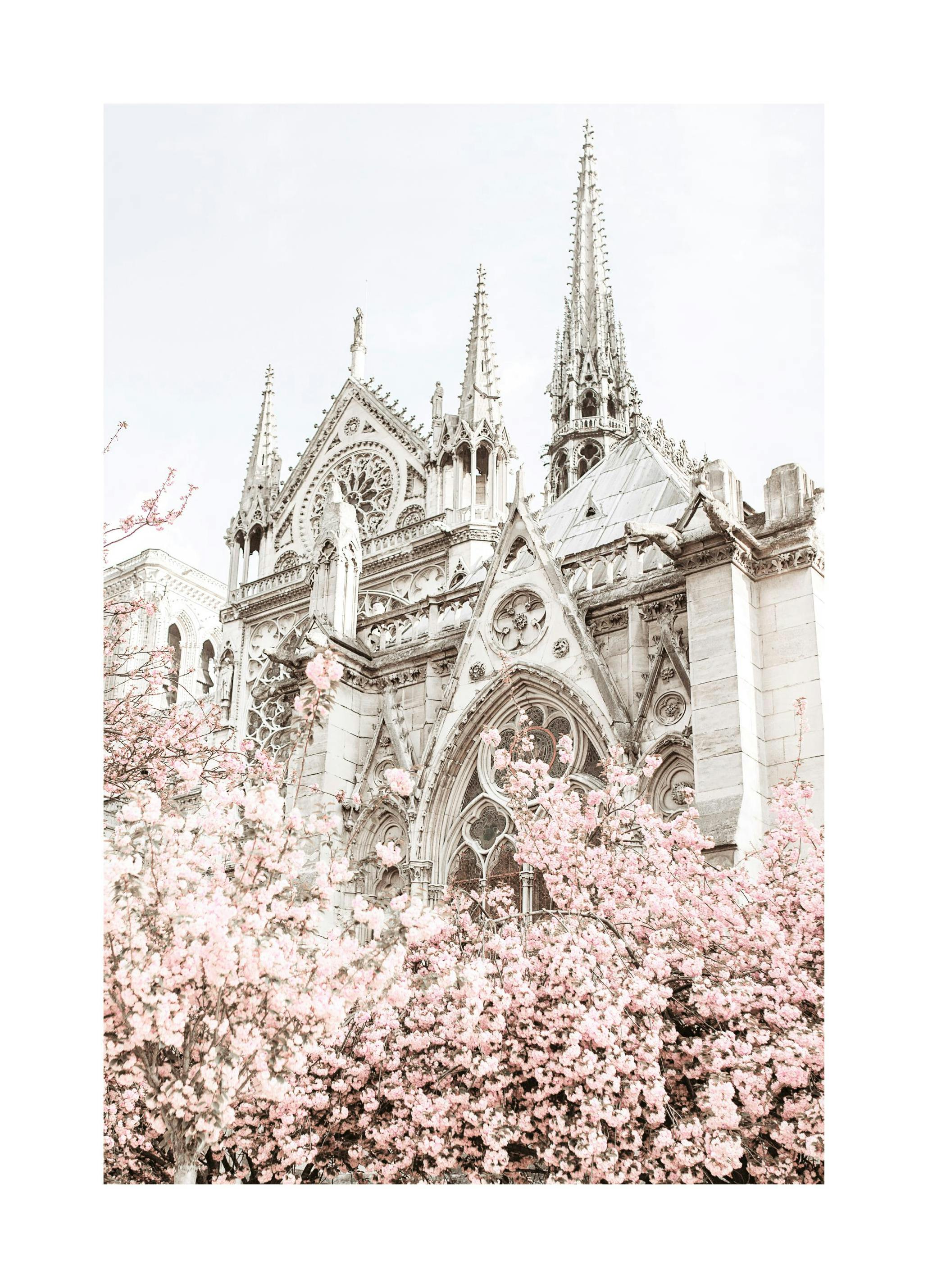 Notre Dame in Bloom Poster (21x30 cm) - Poster Store