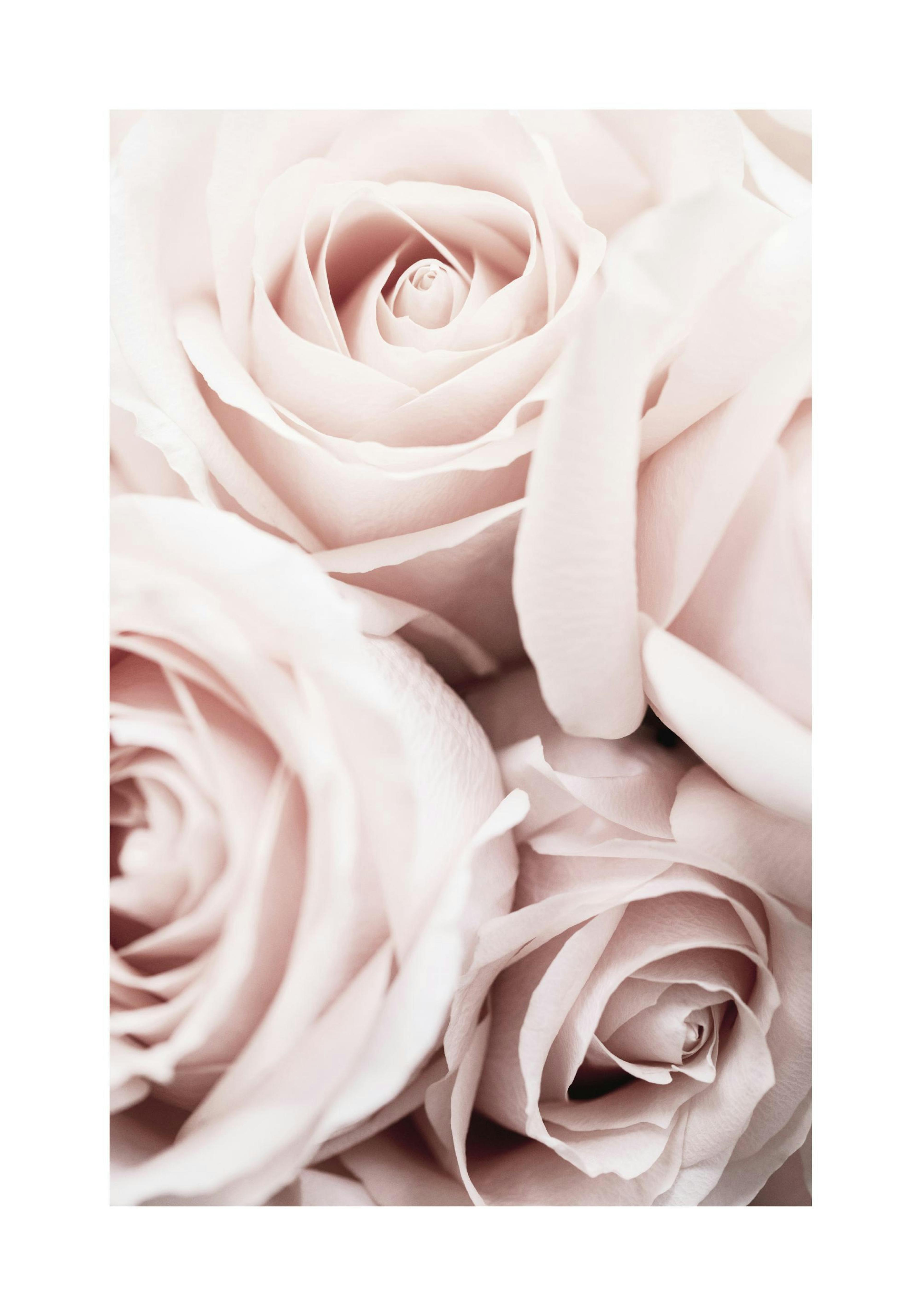 Product image: 1