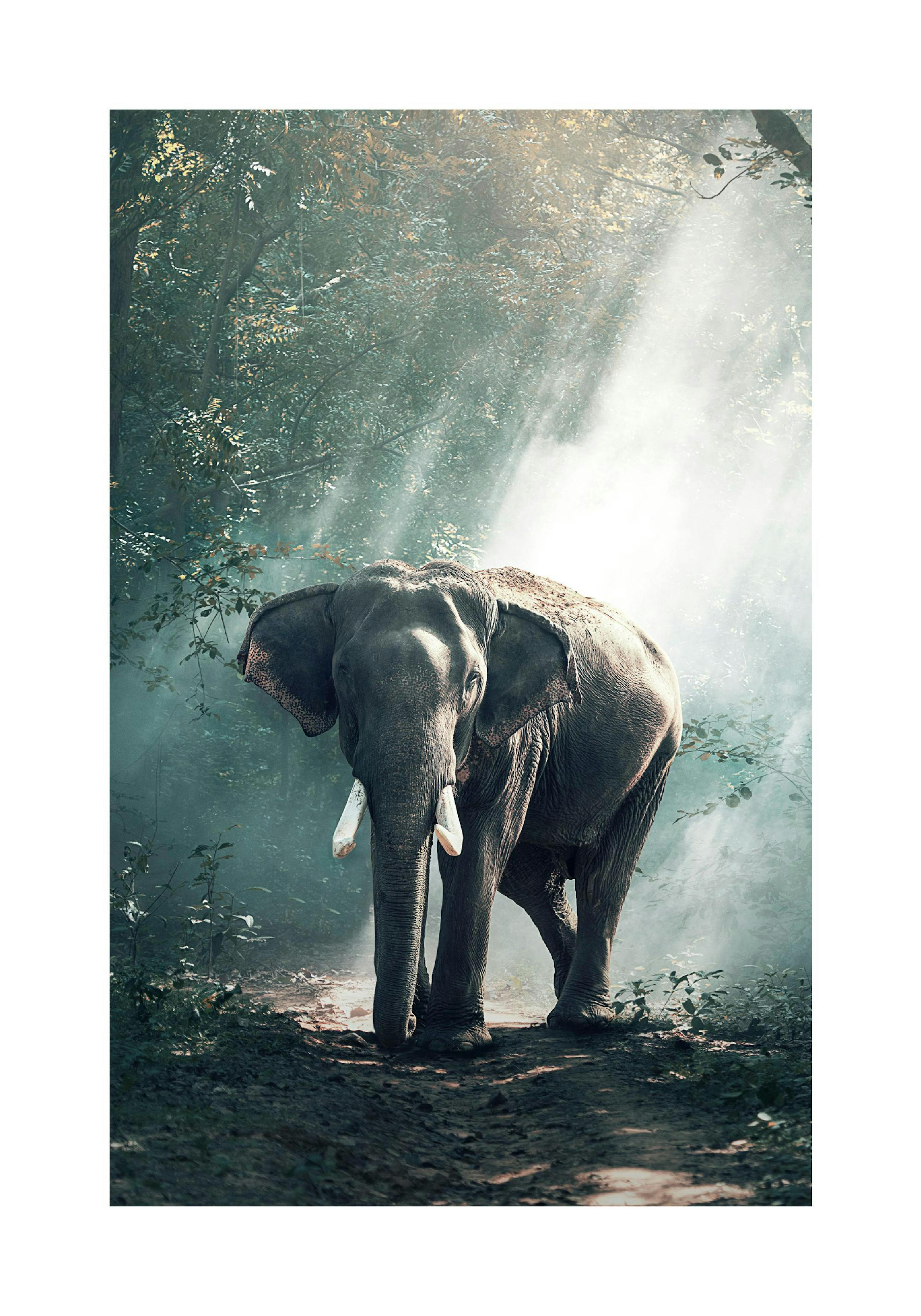 Product image: 1
