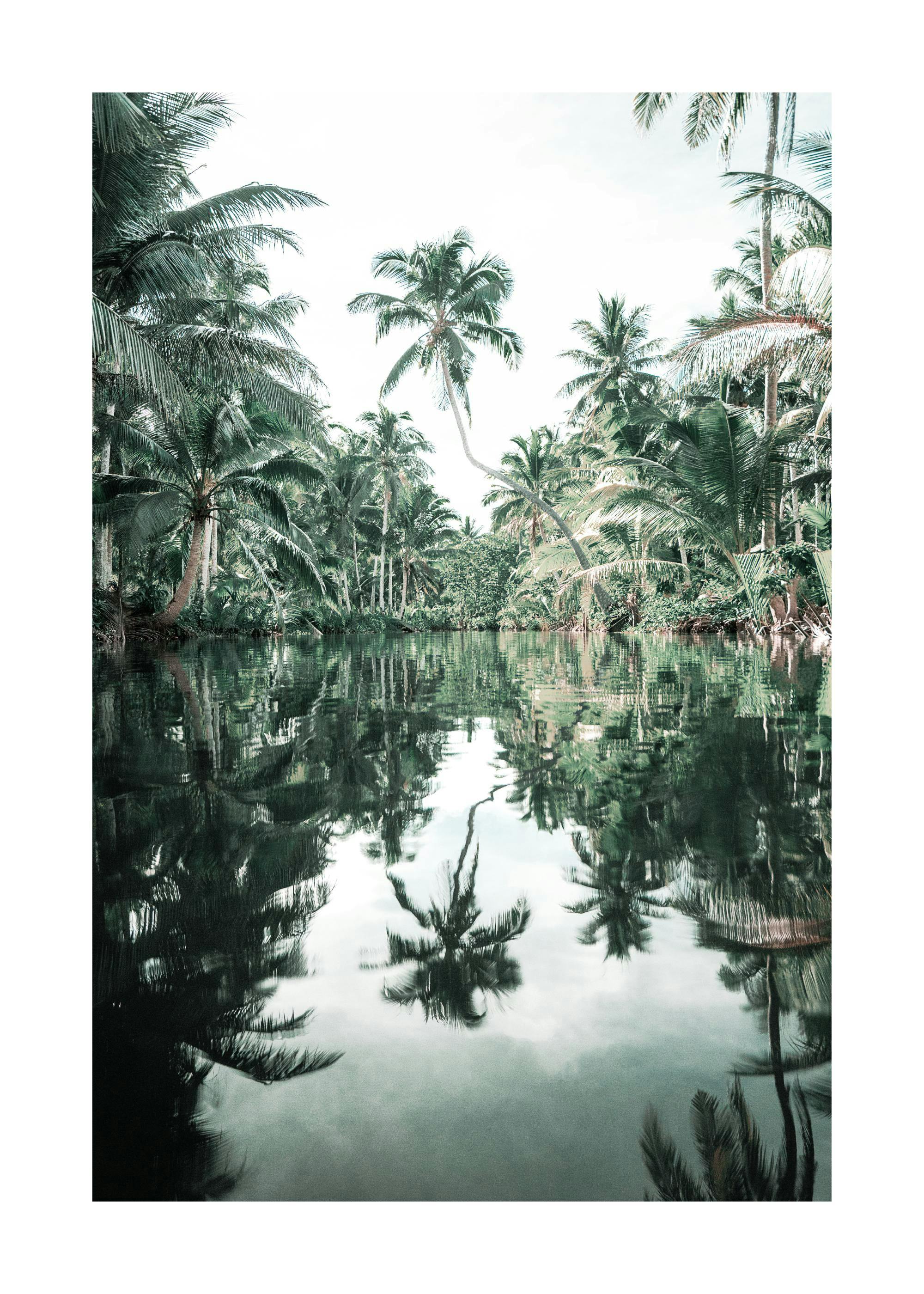 A poster featuring a calm body of water reflecting lush green palm trees under a bright sky, creating a tropical landscape.