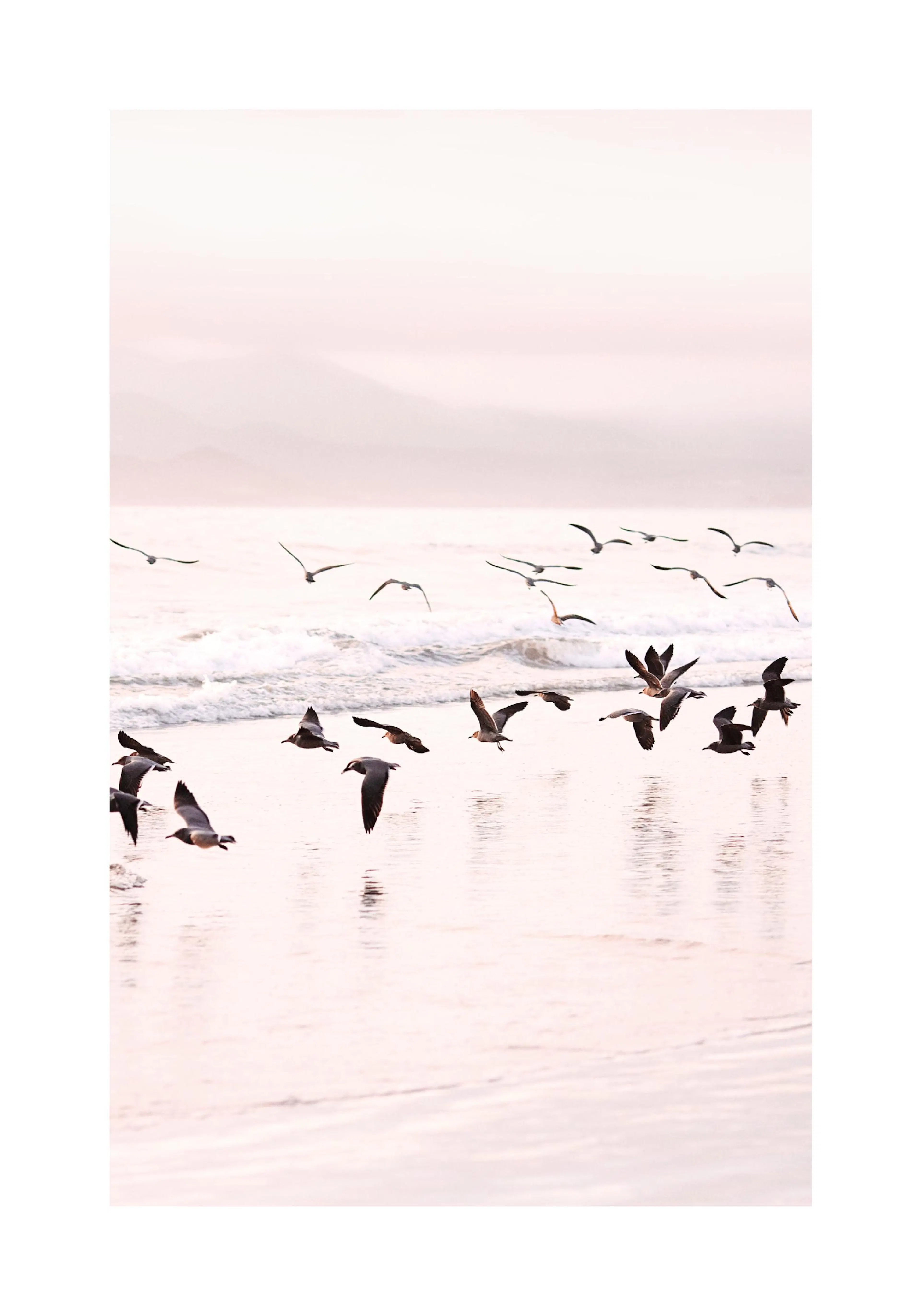 A poster featuring a flock of seagulls flying low over the gentle waves of a pink-hued beach at sunset.