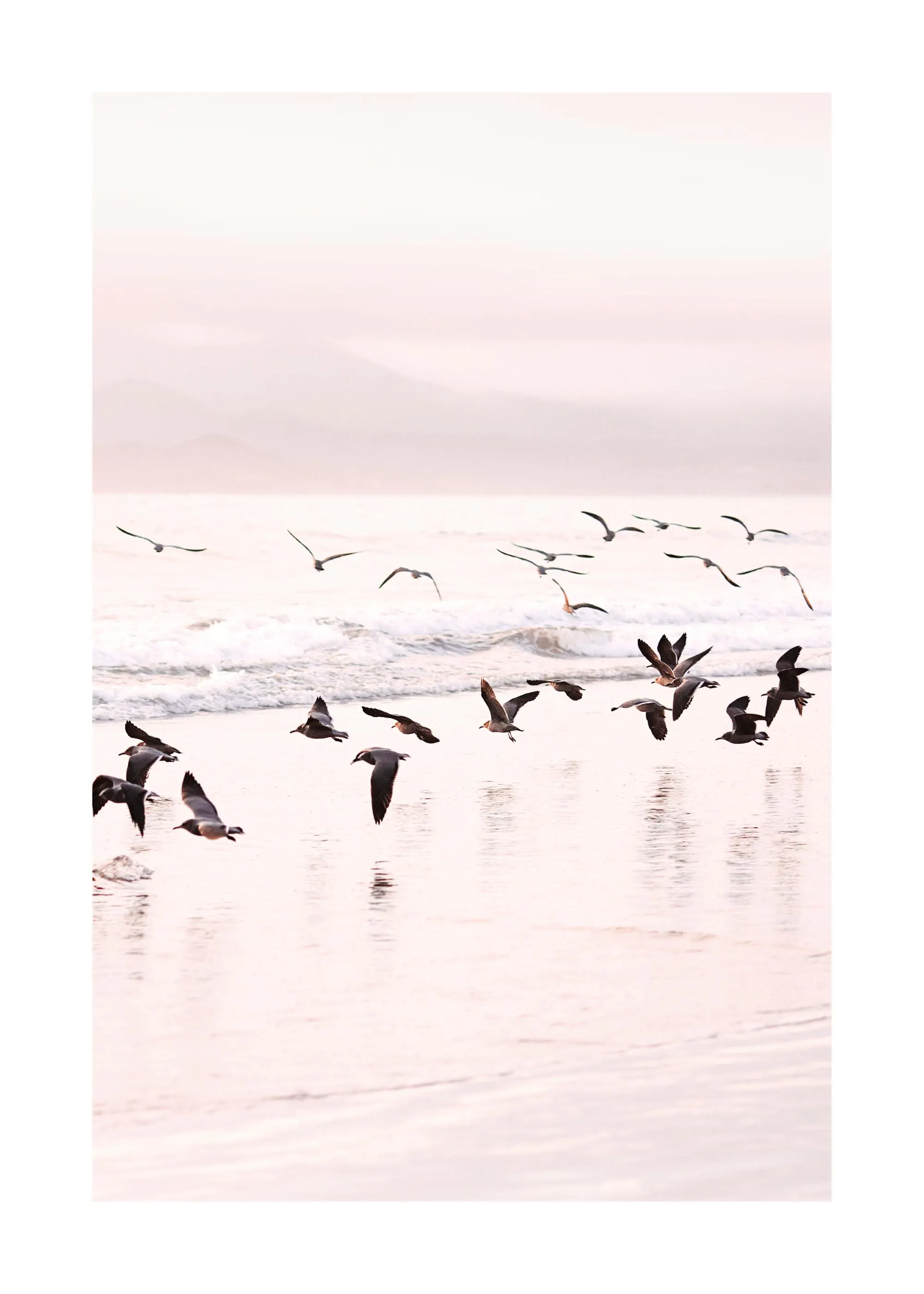 Ein Poster mit fliegenden Möwen über einem ruhigen Strand und sanften Wellen in Pastellfarben.