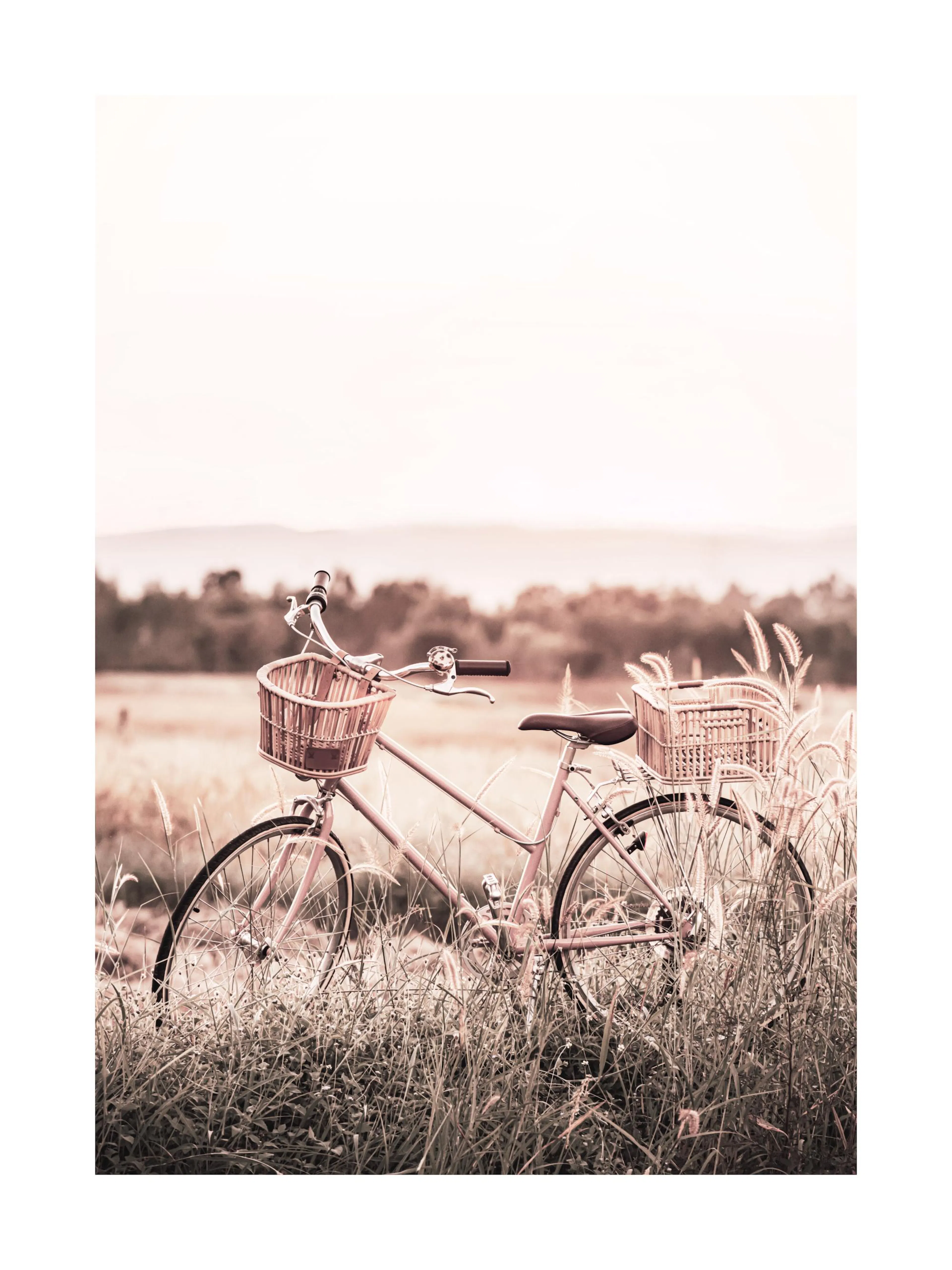A sepia-toned poster of a vintage bicycle with two wicker baskets in a field of tall grass.
