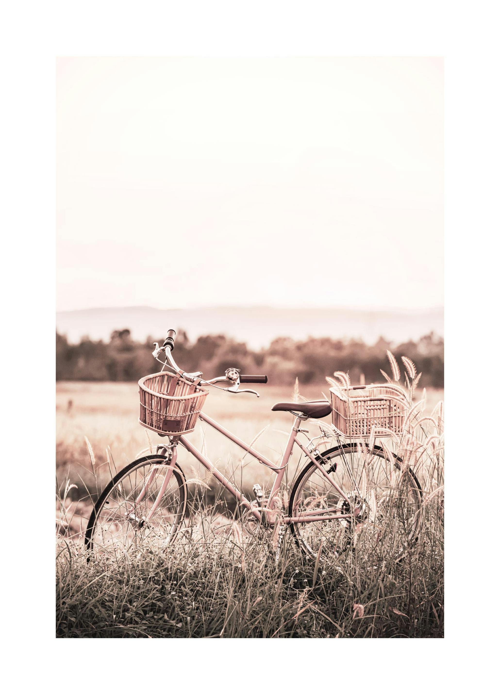 Prints Parked Bicycle Poster (21x30 cm) - Poster Store