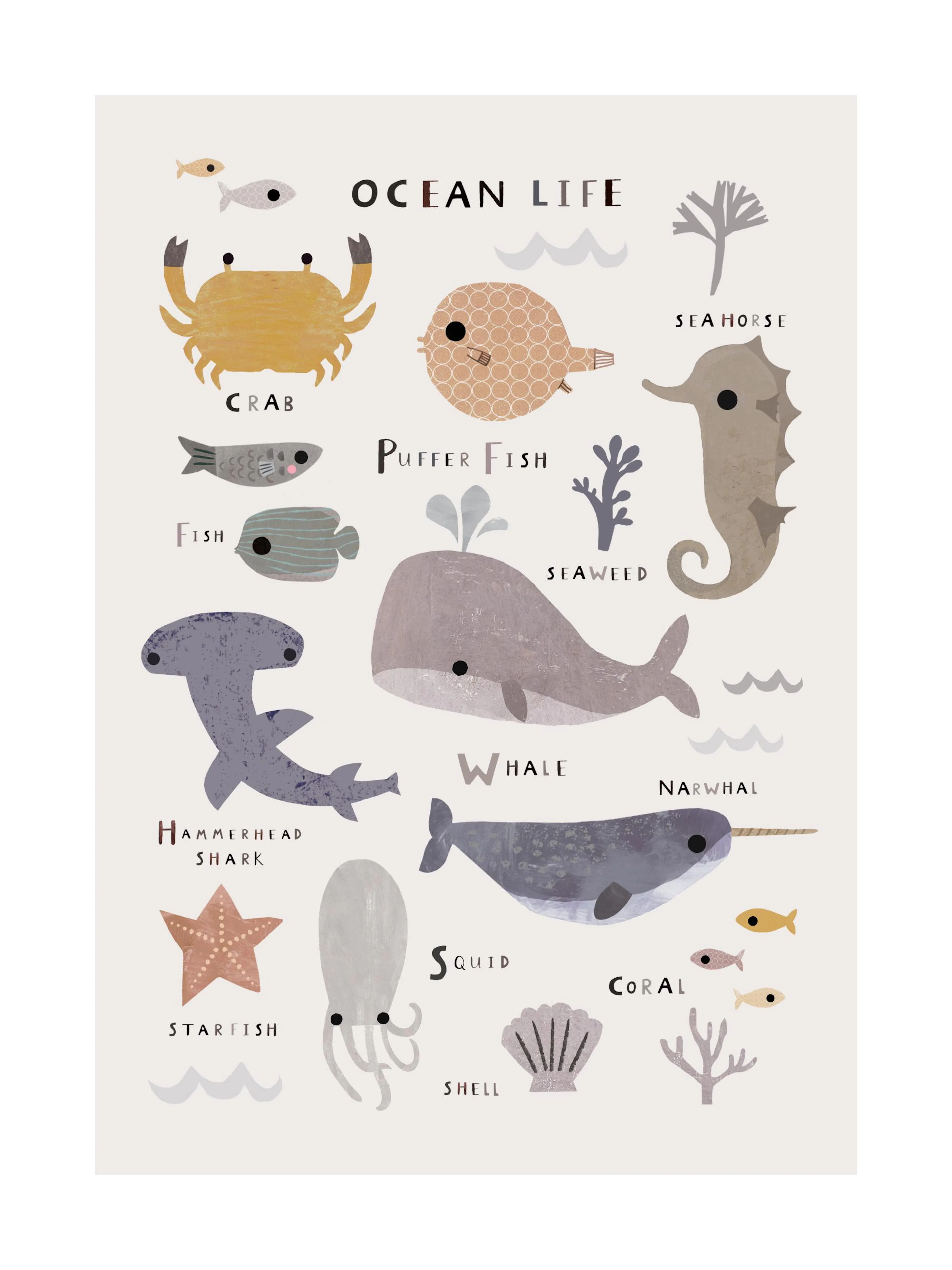A poster featuring a collection of illustrated ocean animals and marine life on a light background, with names like Whale and Se