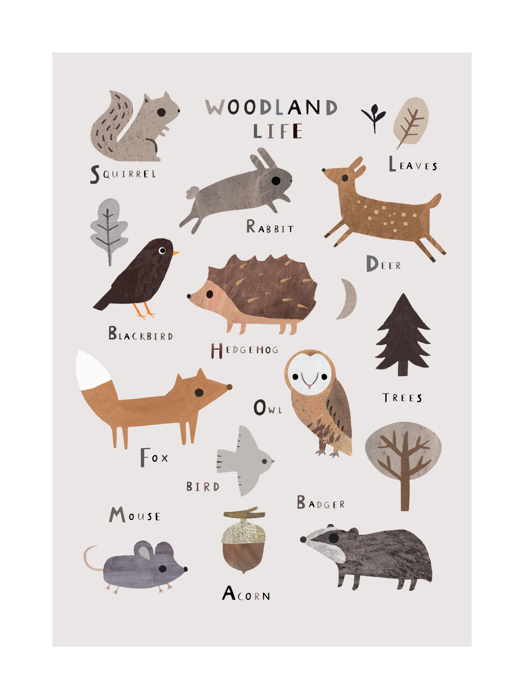 WEZADUK Set 3 Poster Animali Del Bosco 20x25 Cm - Volpe, Orso, Cervo Per Cameretta E Soggiorno