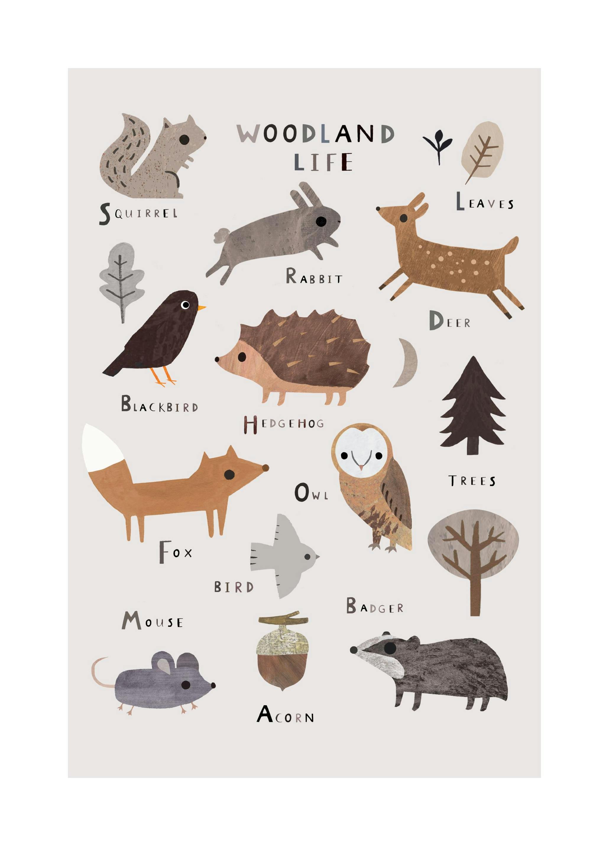Skogliv Poster (21x30 cm) - Poster Store