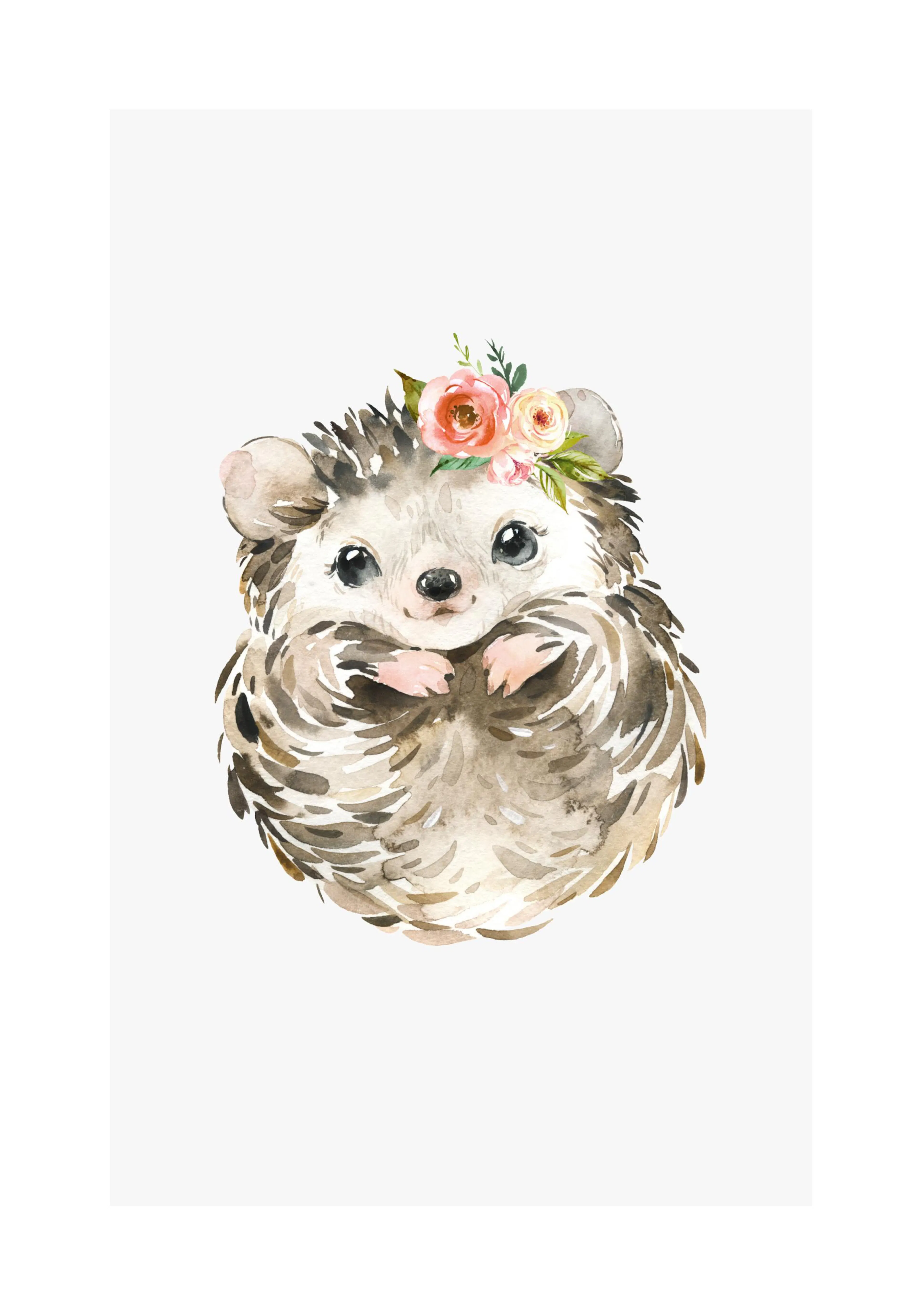 A poster featuring an adorable watercolour hedgehog with a floral crown of pink and peach roses.