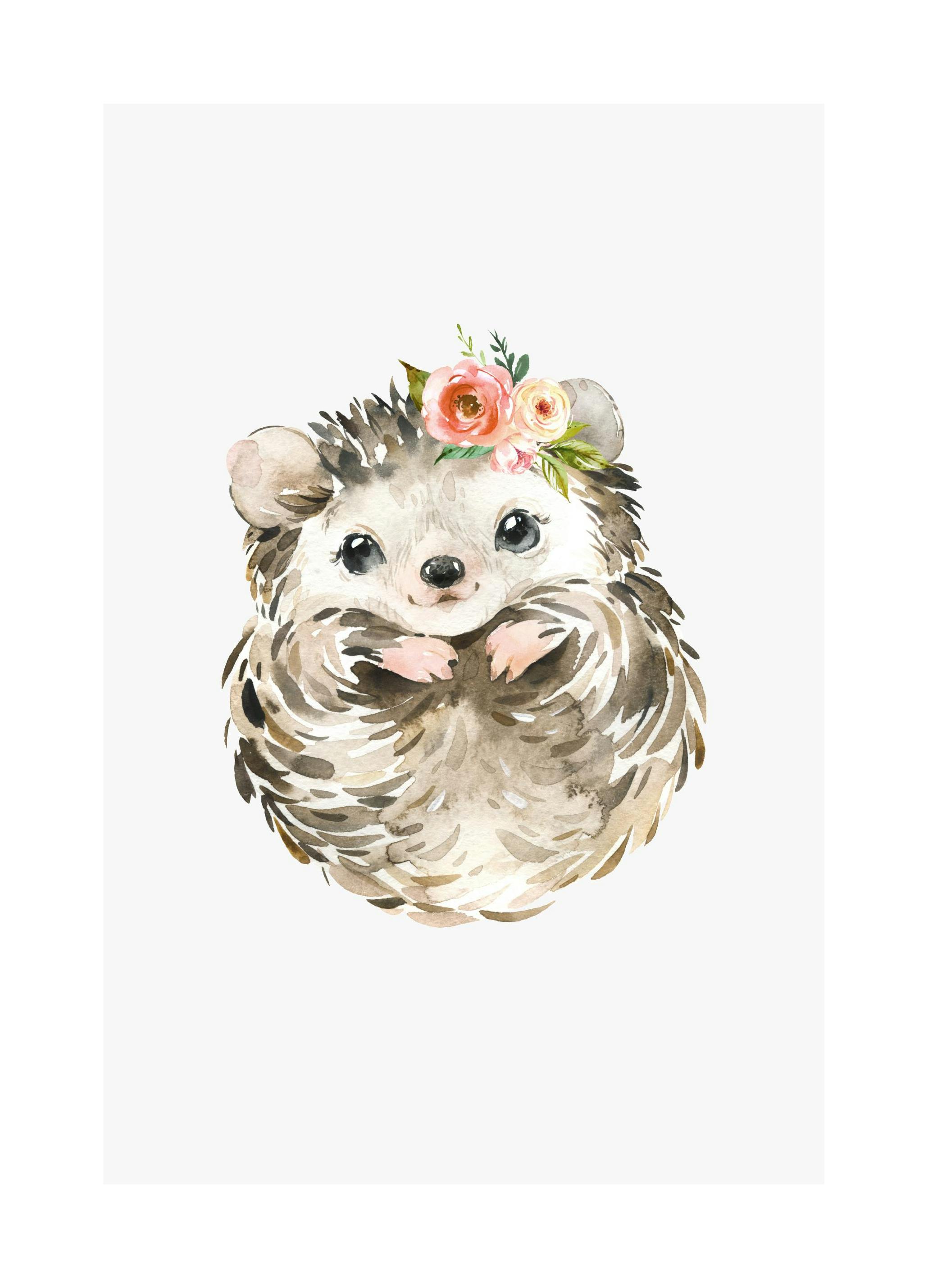 Egel vriend poster (21x30 cm) - Poster Store