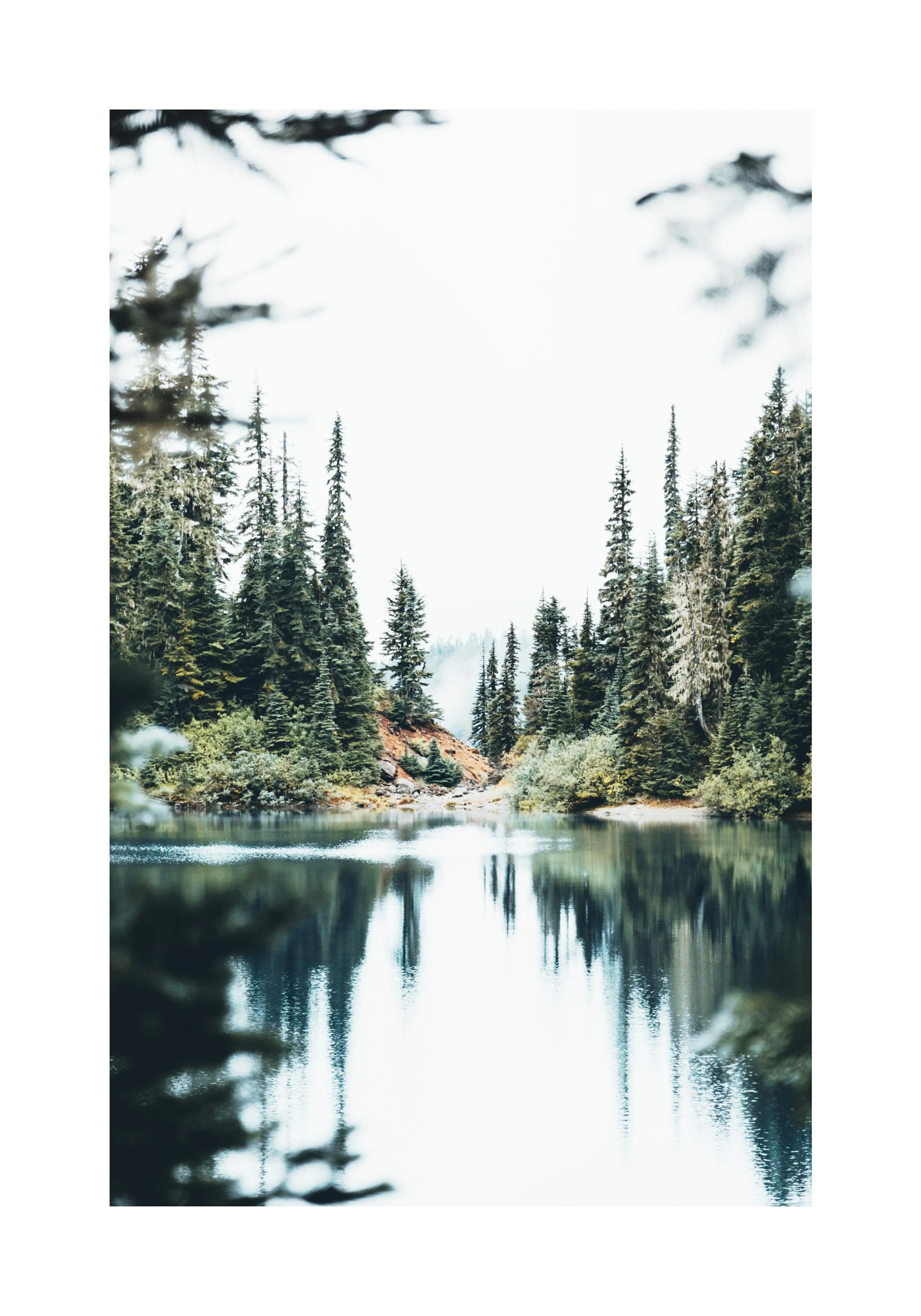 A serene poster of a tranquil lake reflecting tall evergreen trees and a white sky in Canada.