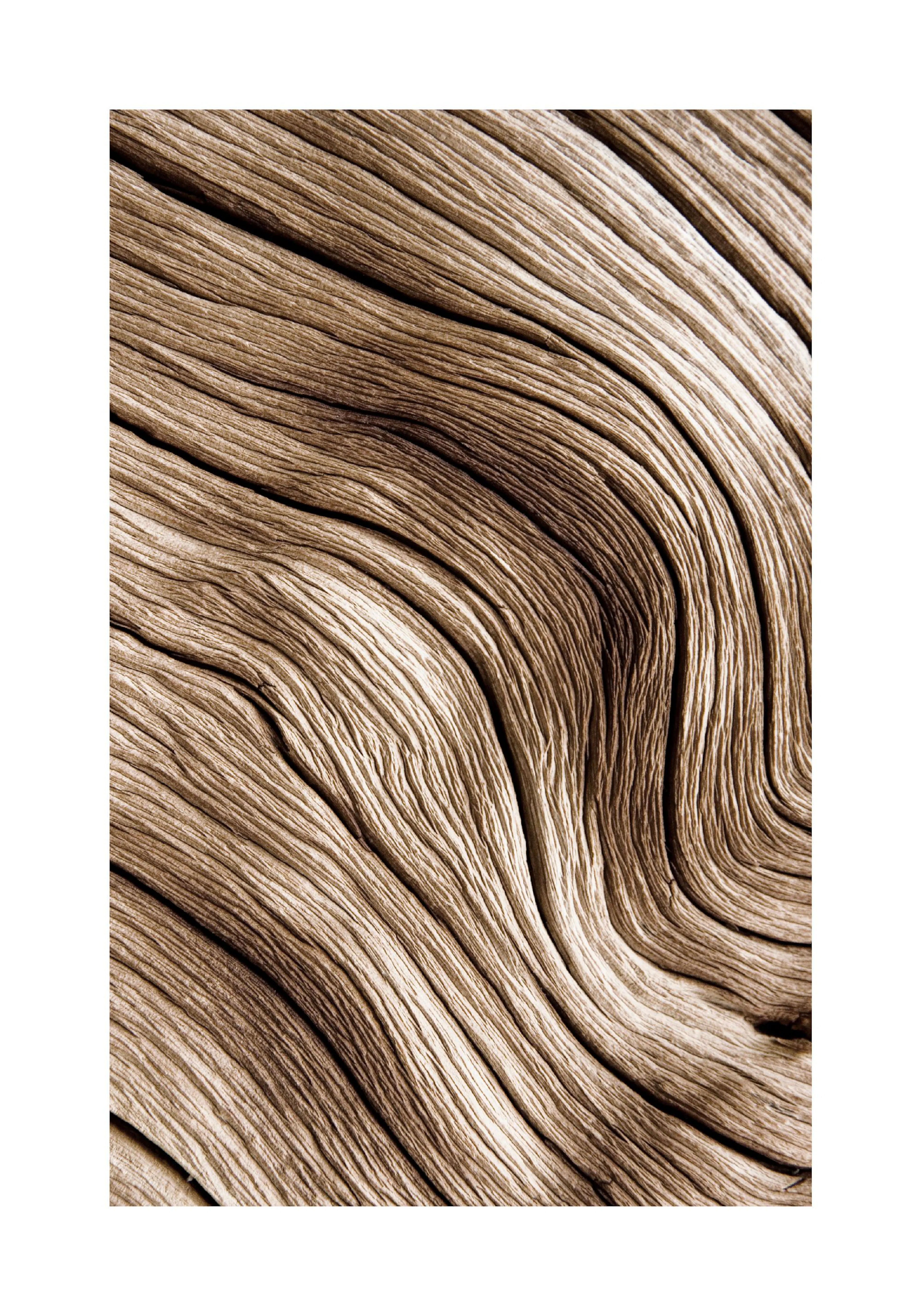 A poster featuring a close-up of light brown, weathered wood grain with curved lines and natural patterns.