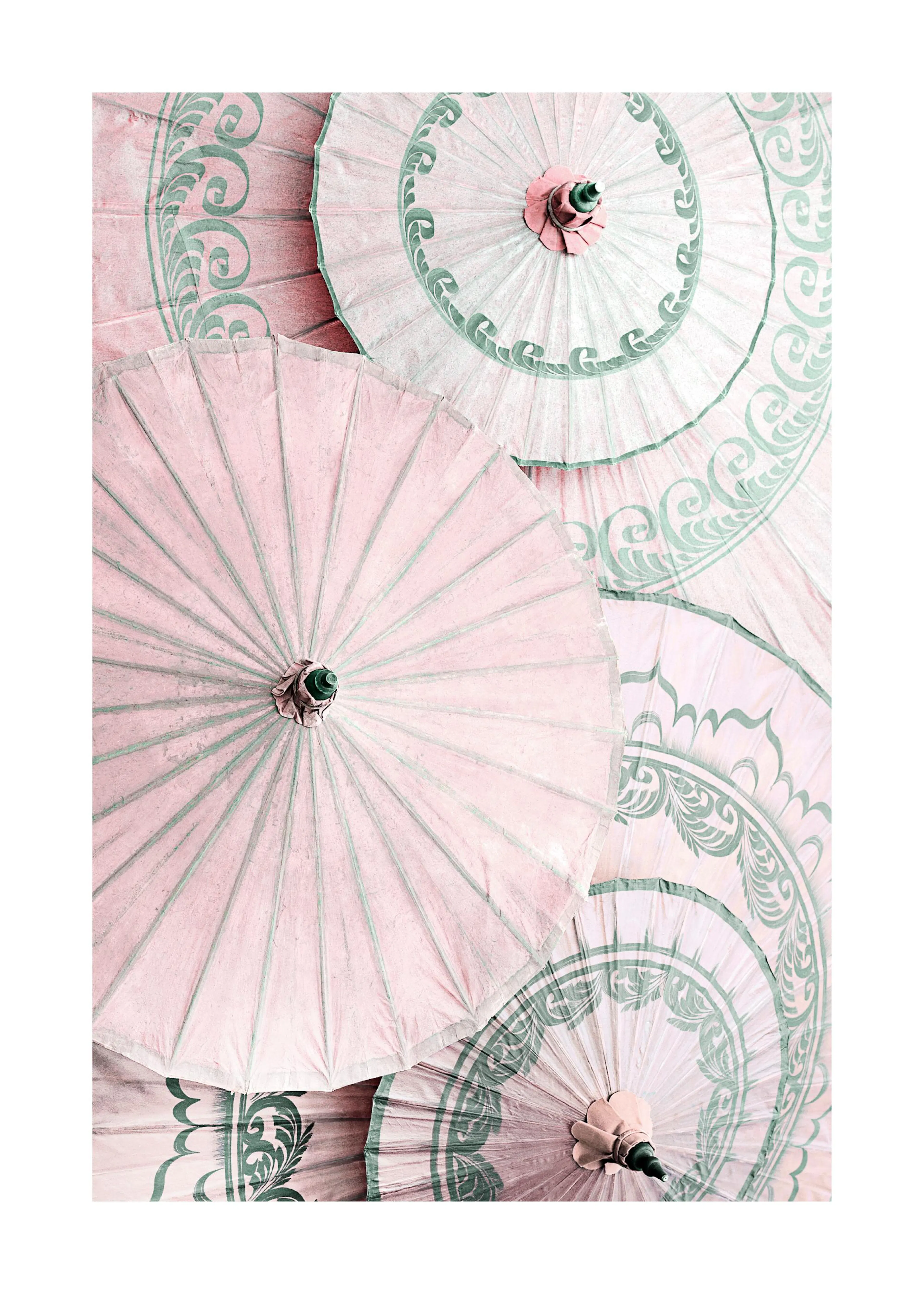 Un poster che mostra una vista dallalto di ombrelli di carta rosa e bianchi con motivi verdi.