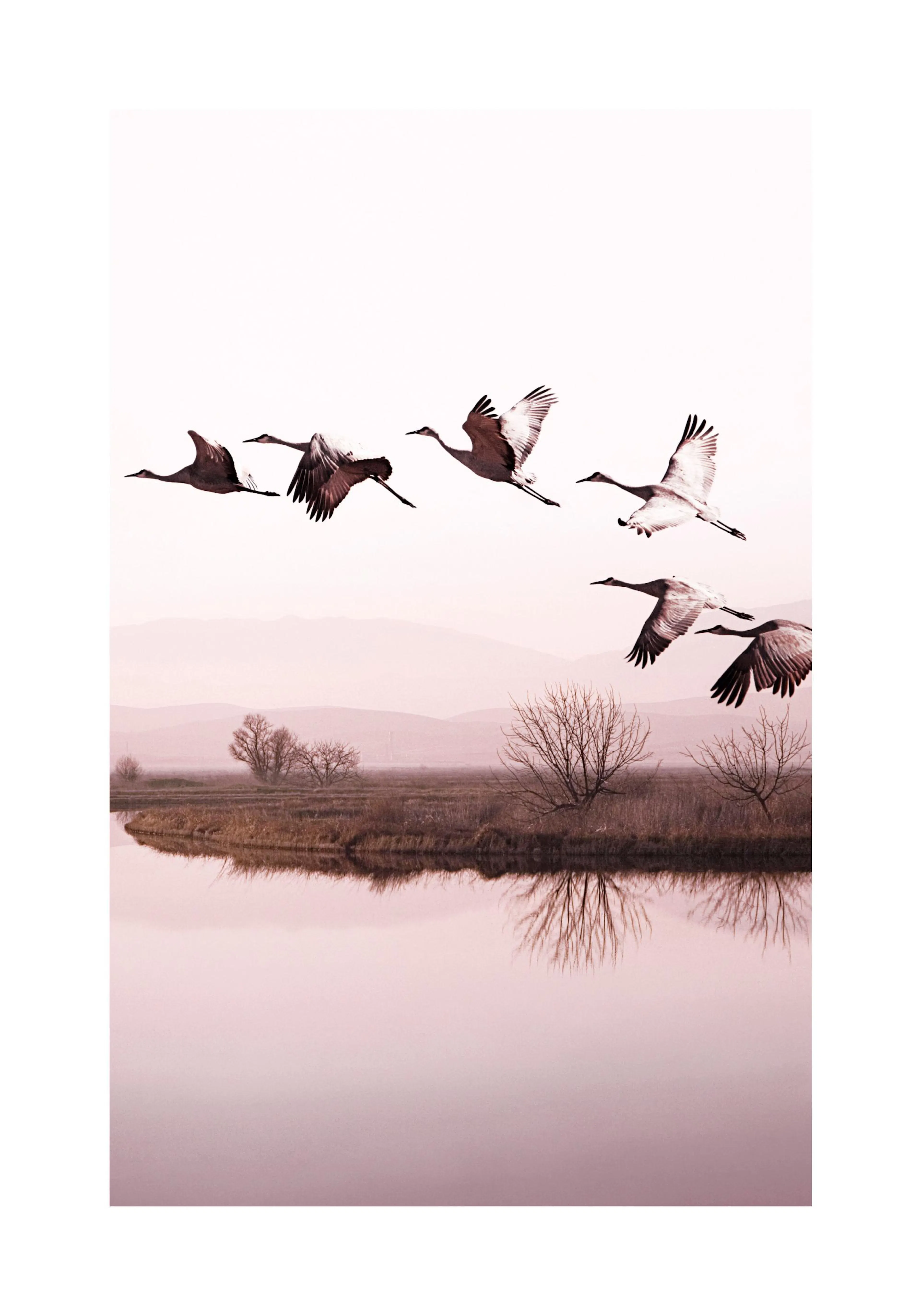 A poster featuring a flock of birds flying over a calm body of water with bare trees and distant hills.