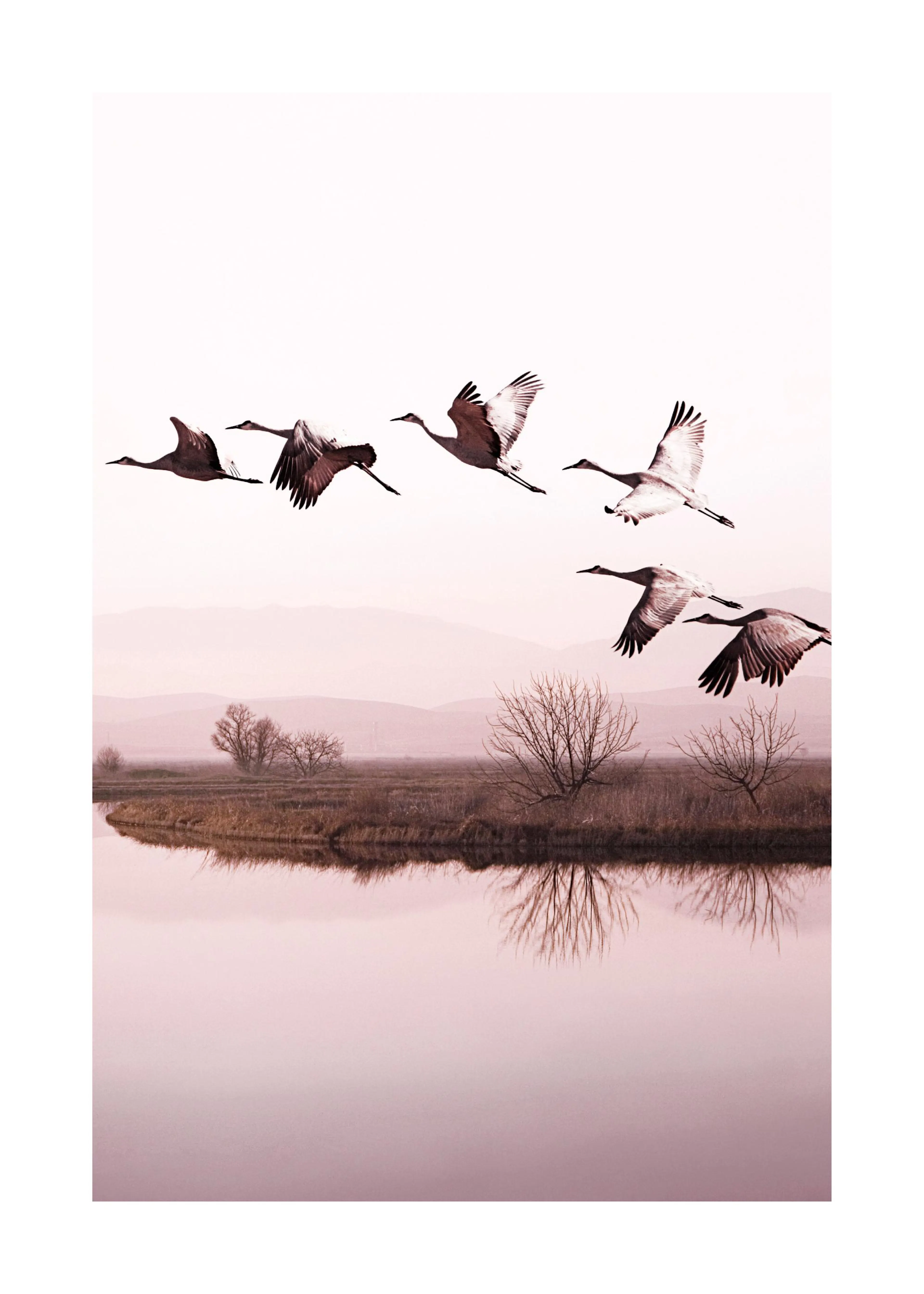 A poster featuring a flock of cranes flying over a tranquil lake with reflections of barren trees and distant hills.