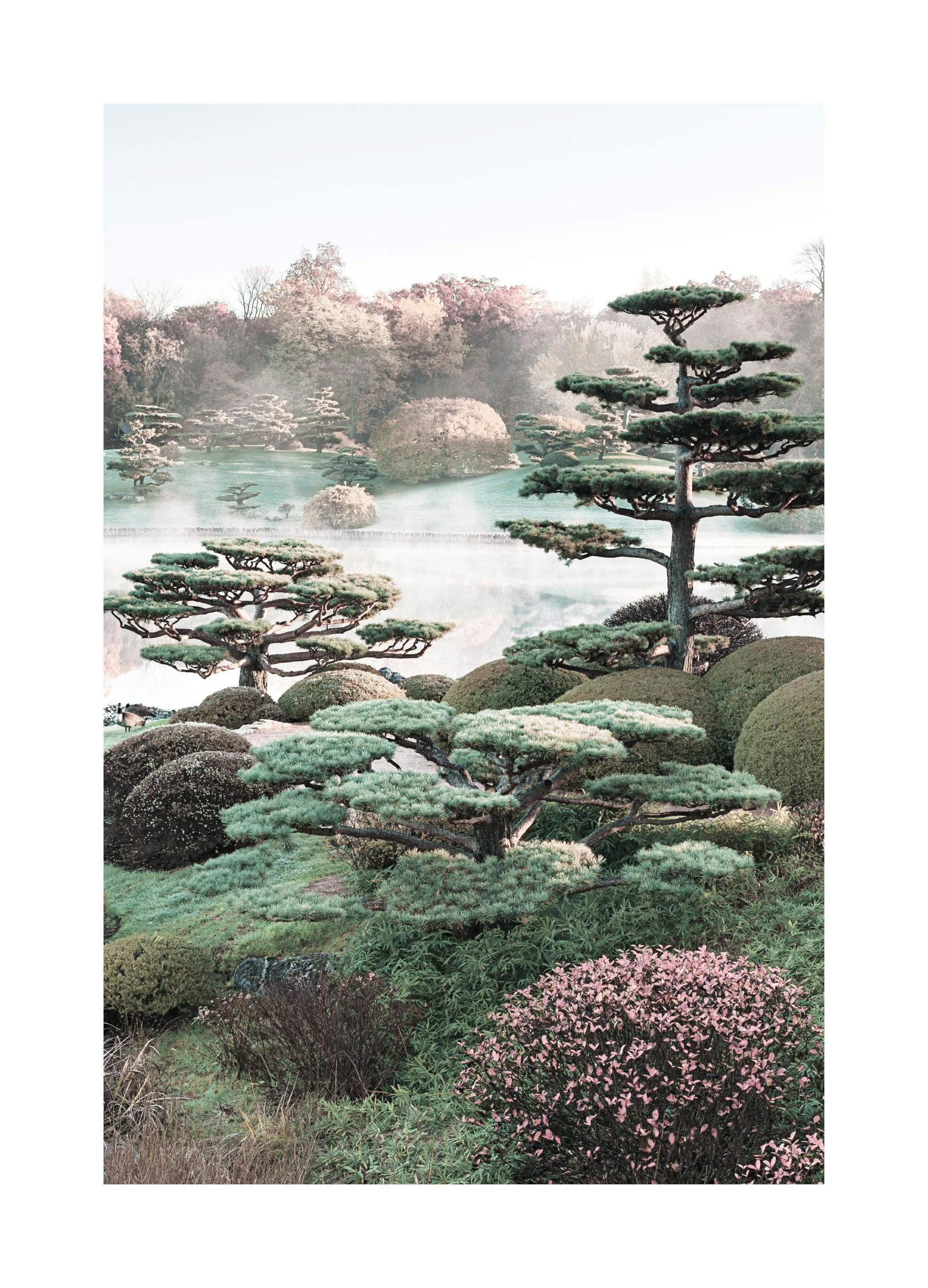 Jardin Botanique Poster (50x70 cm) - Poster Store