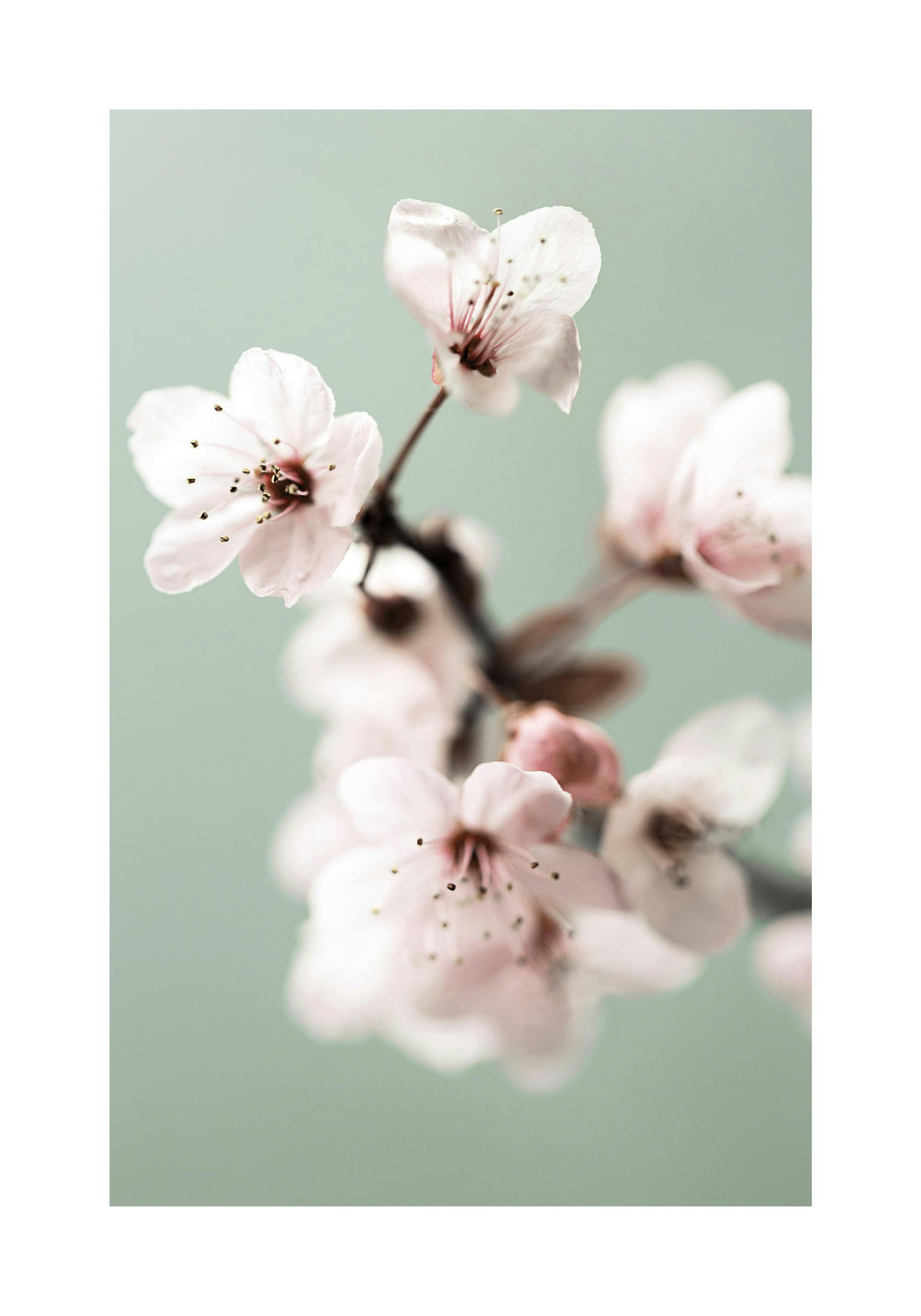 Product image: 1