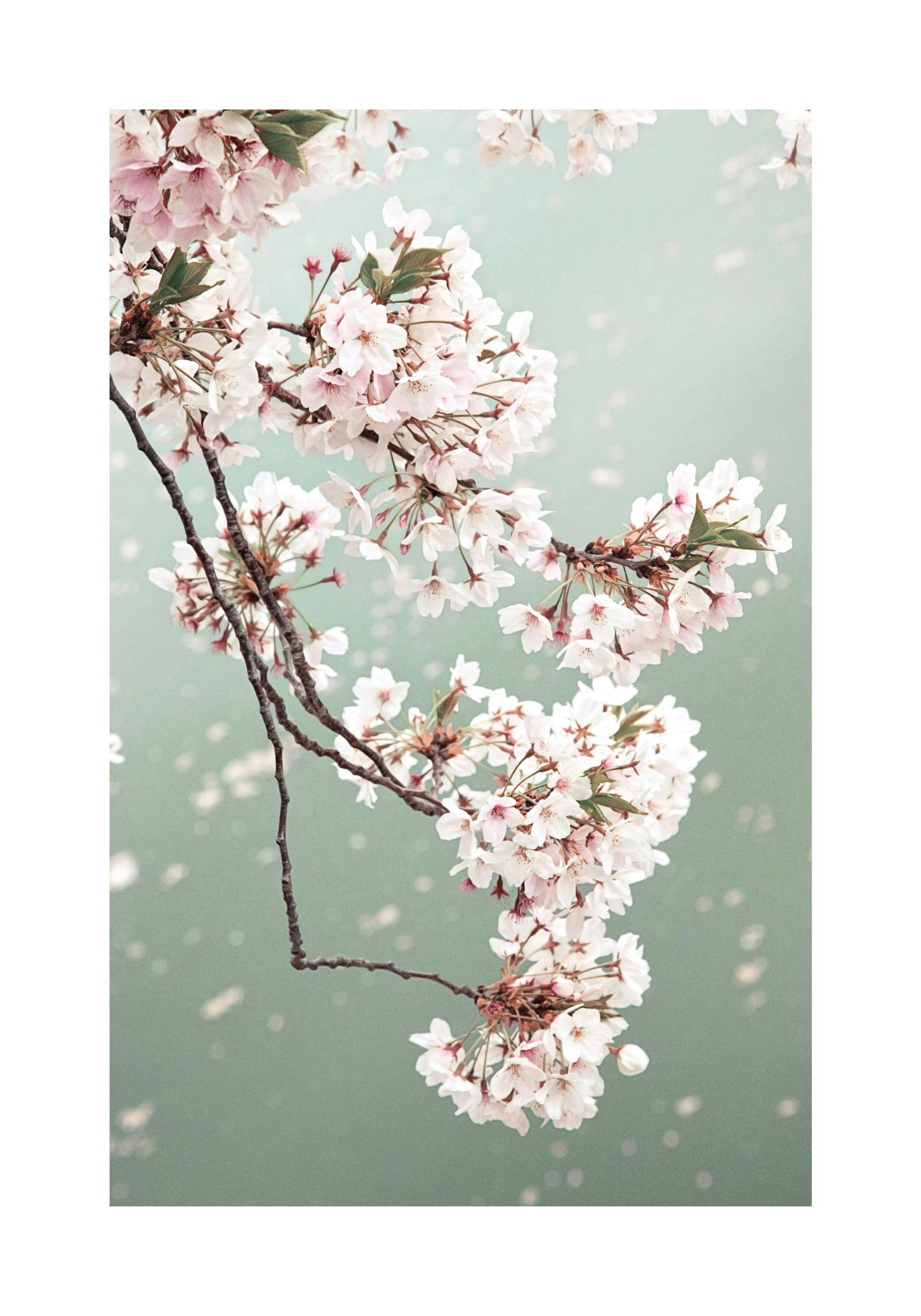 Product image: 1