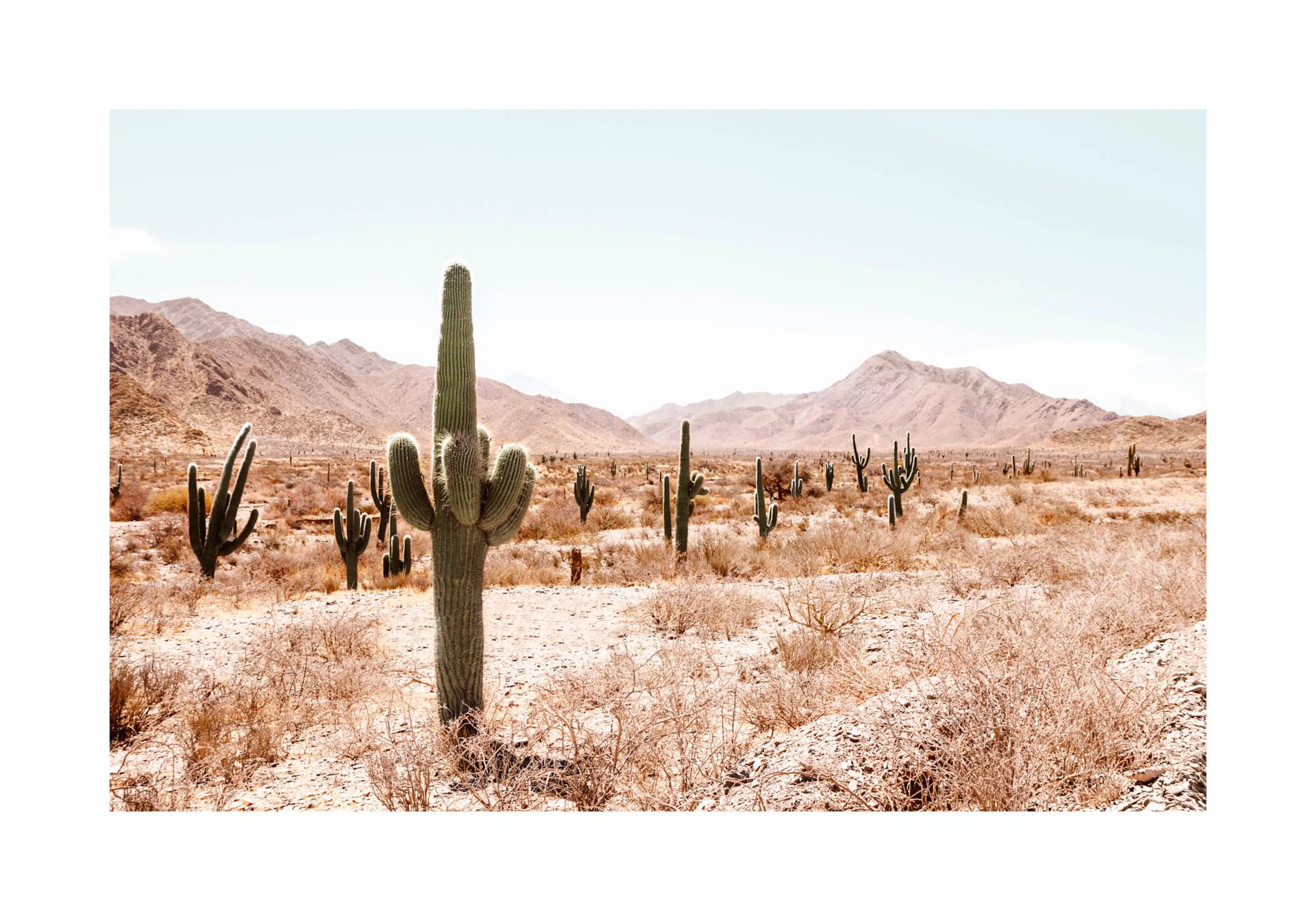 Plakát s pouštní krajinou s kaktusy a horami v pozadí pod jasnou oblohou.