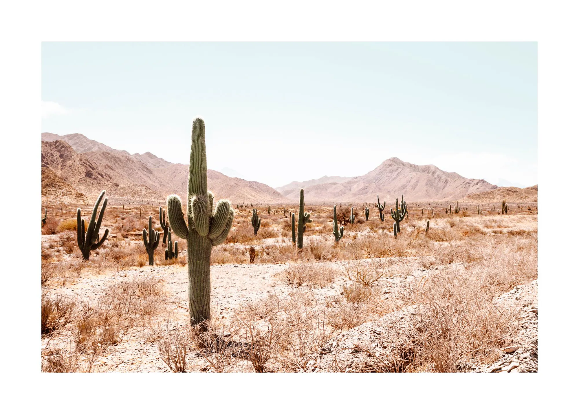 Plakát s pouštní krajinou s kaktusy a horami v pozadí pod jasnou oblohou.