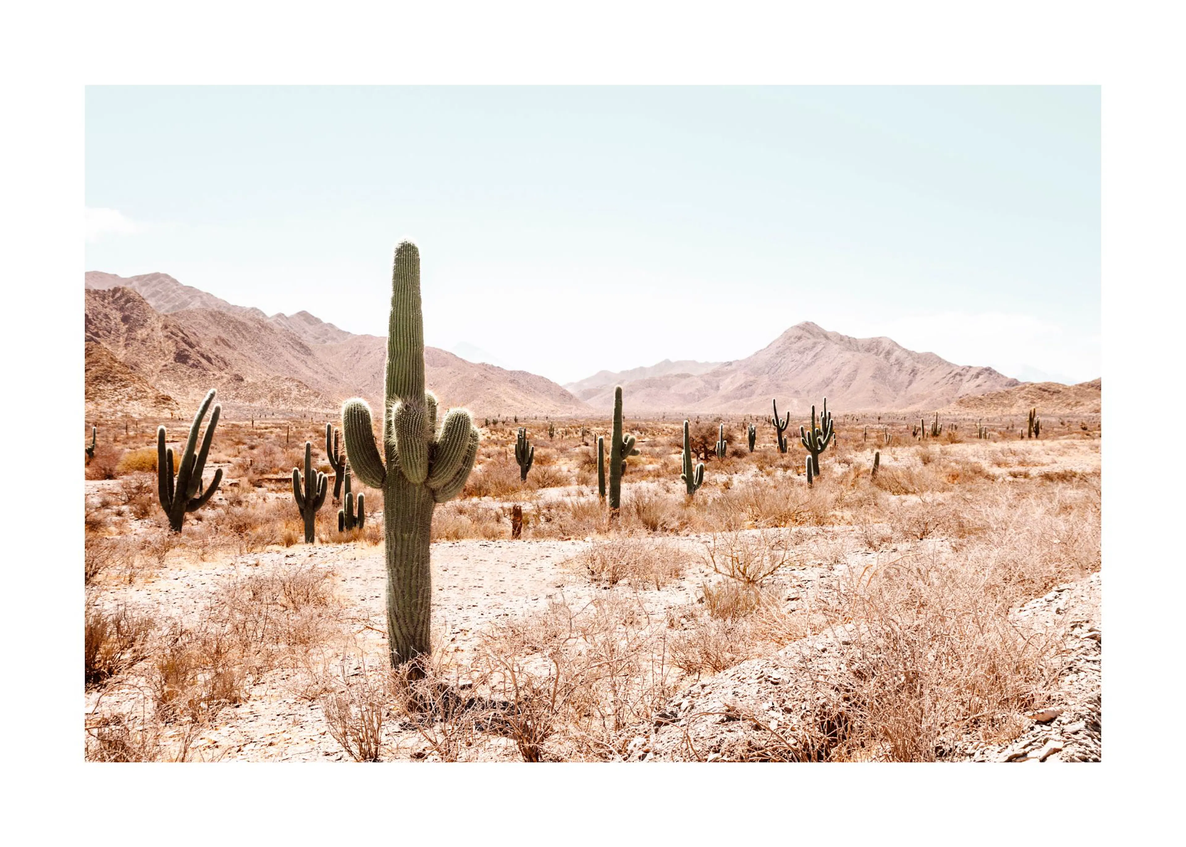 Plakát s pouštní krajinou s kaktusy a horami v pozadí pod jasnou oblohou.