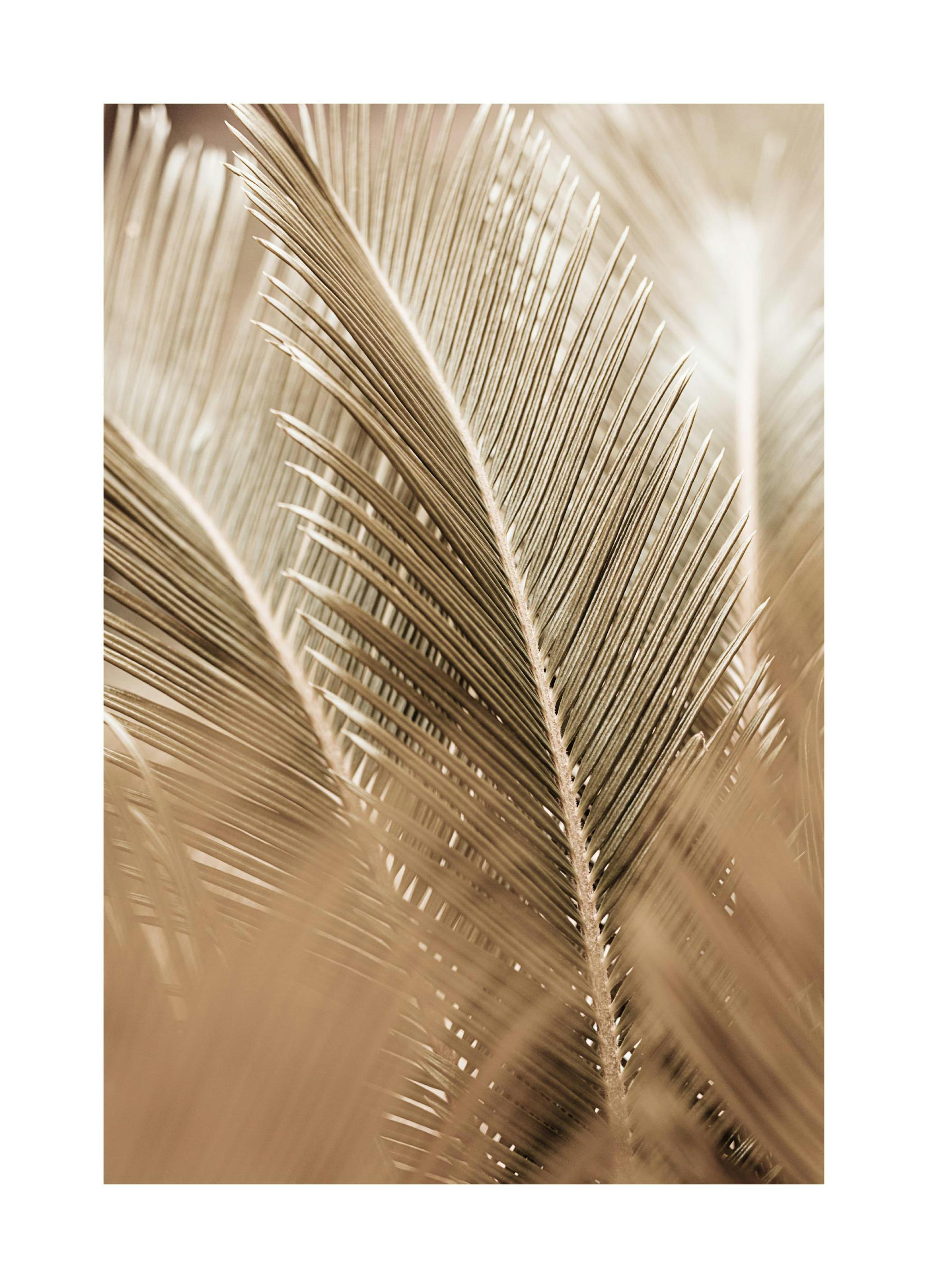 Plakat Złote Liście Palmowe (21x30 cm) - Poster Store