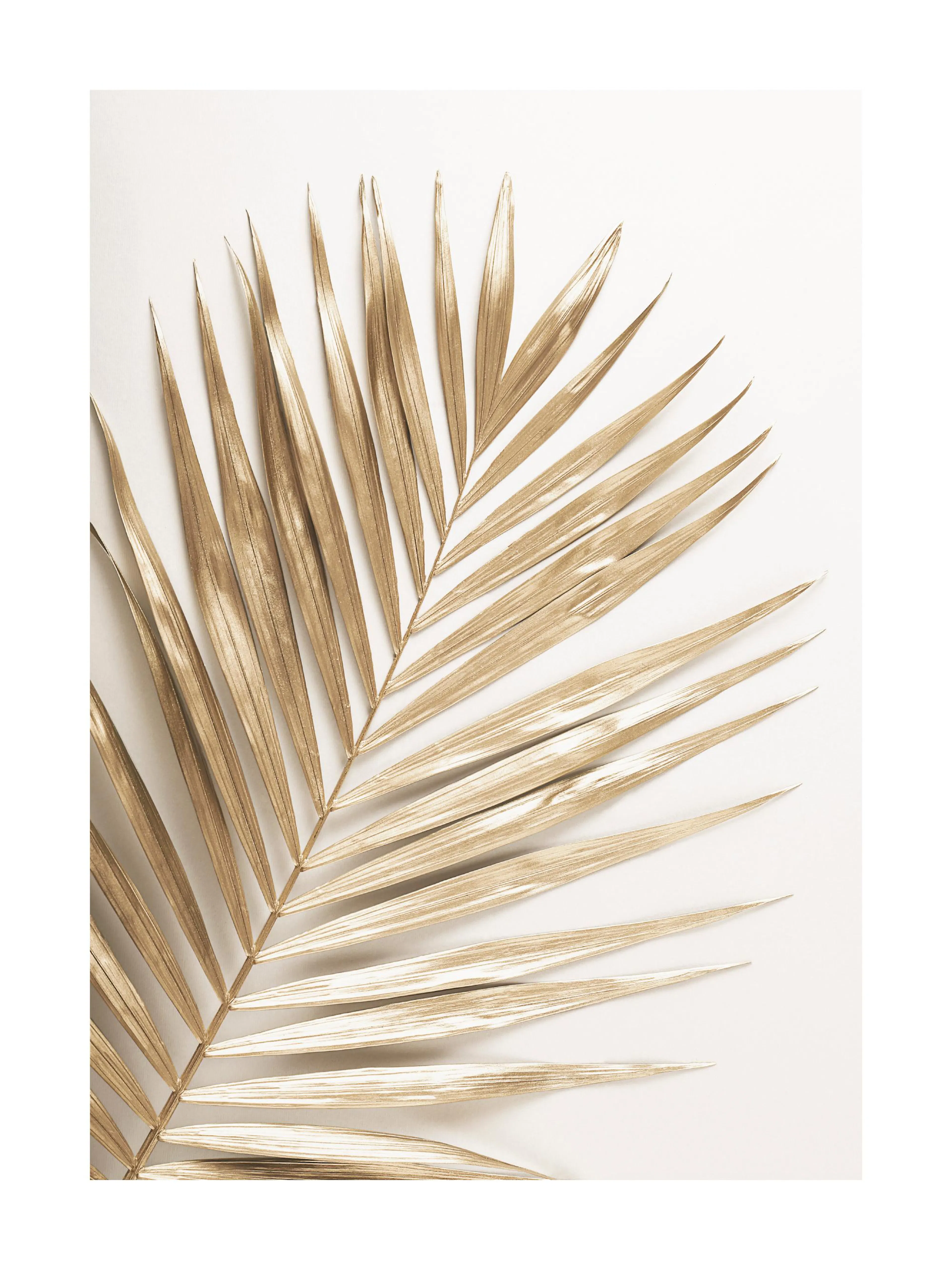 A poster featuring a close-up of a golden palm leaf, its fronds fanning out against a light background.