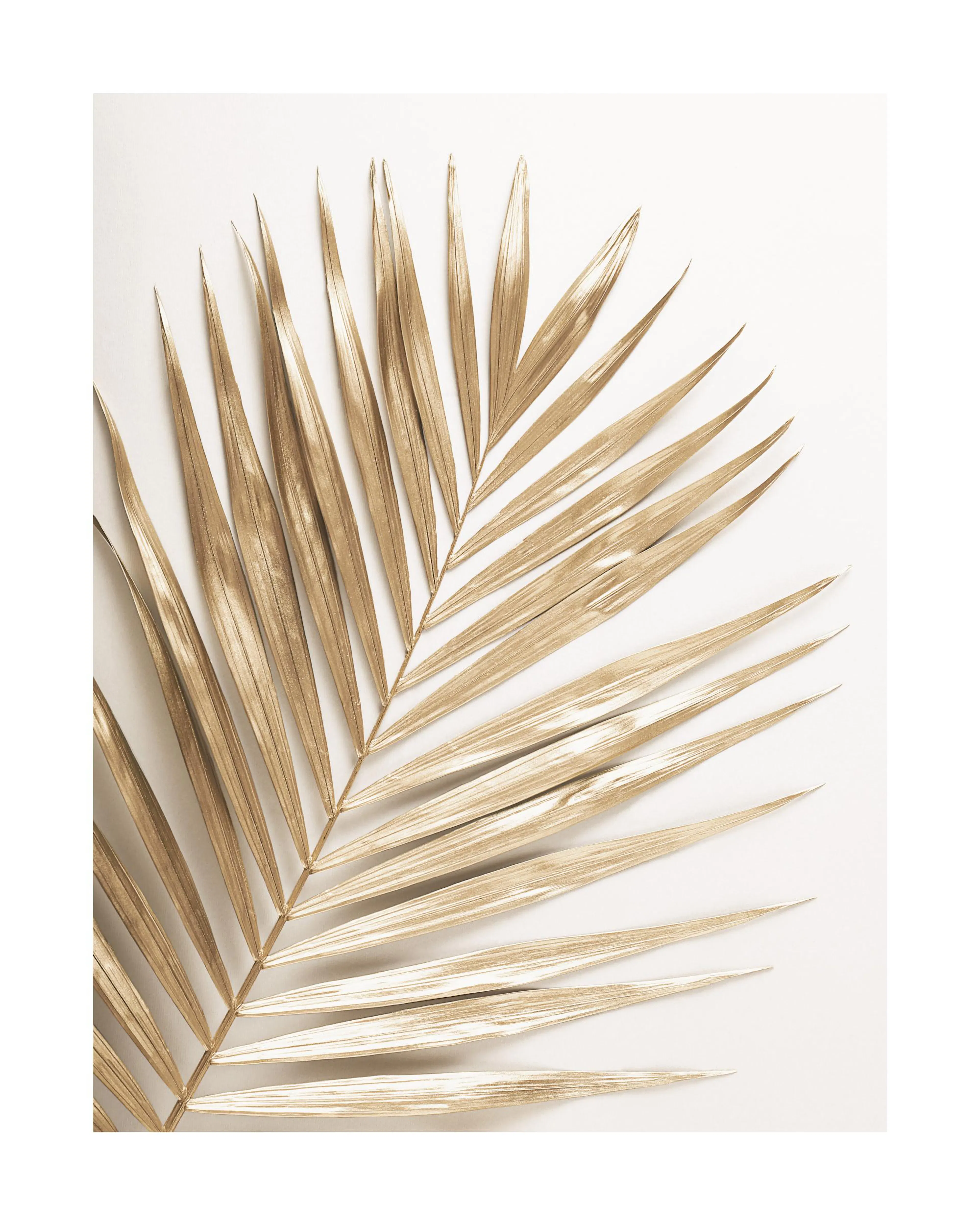 Poster dune feuille de palmier dorée sur fond blanc cassé, mettant en valeur des teintes naturelles et une texture délicate.