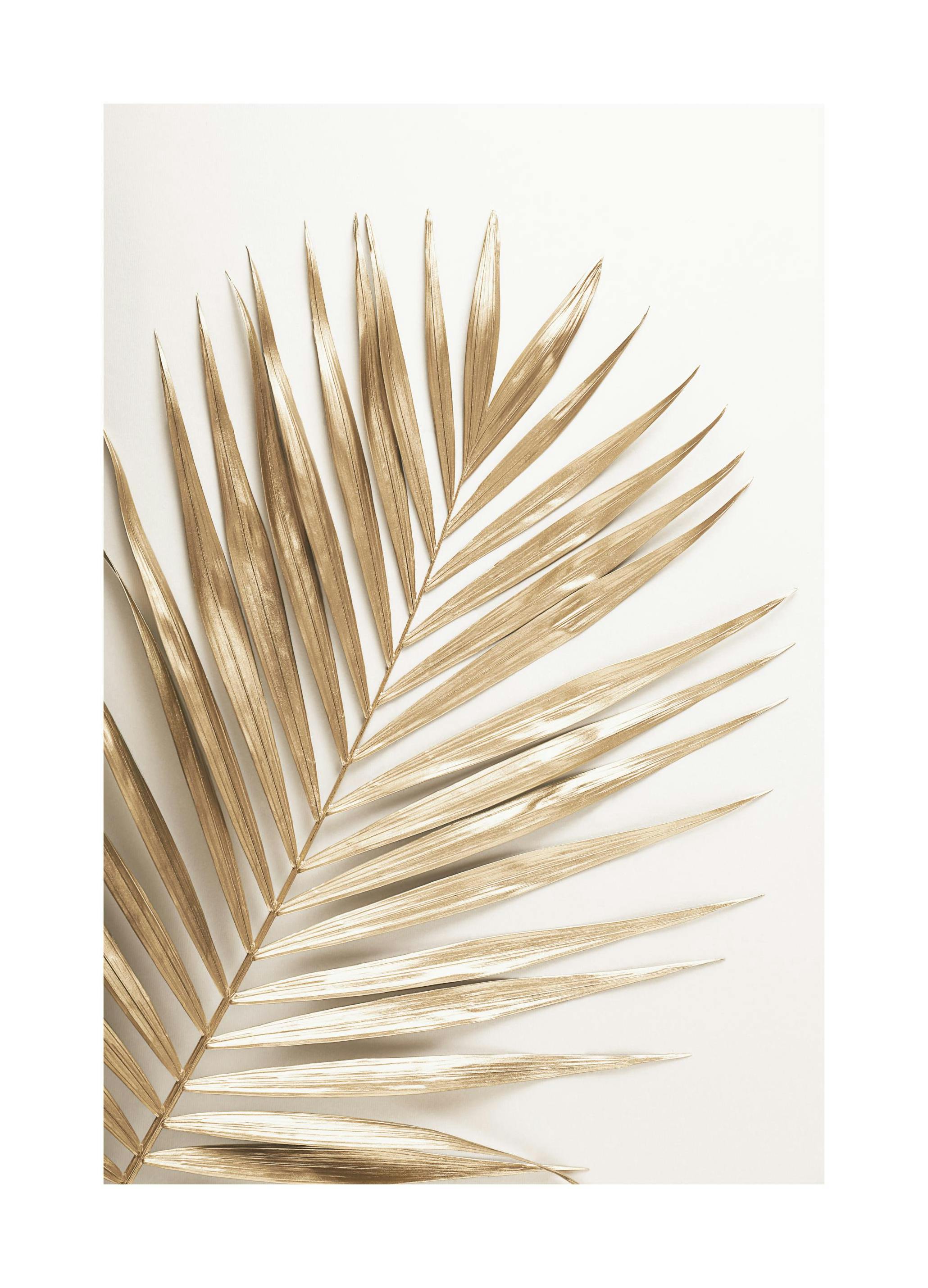 Plakat Złota Palma (30x40 cm) - Poster Store