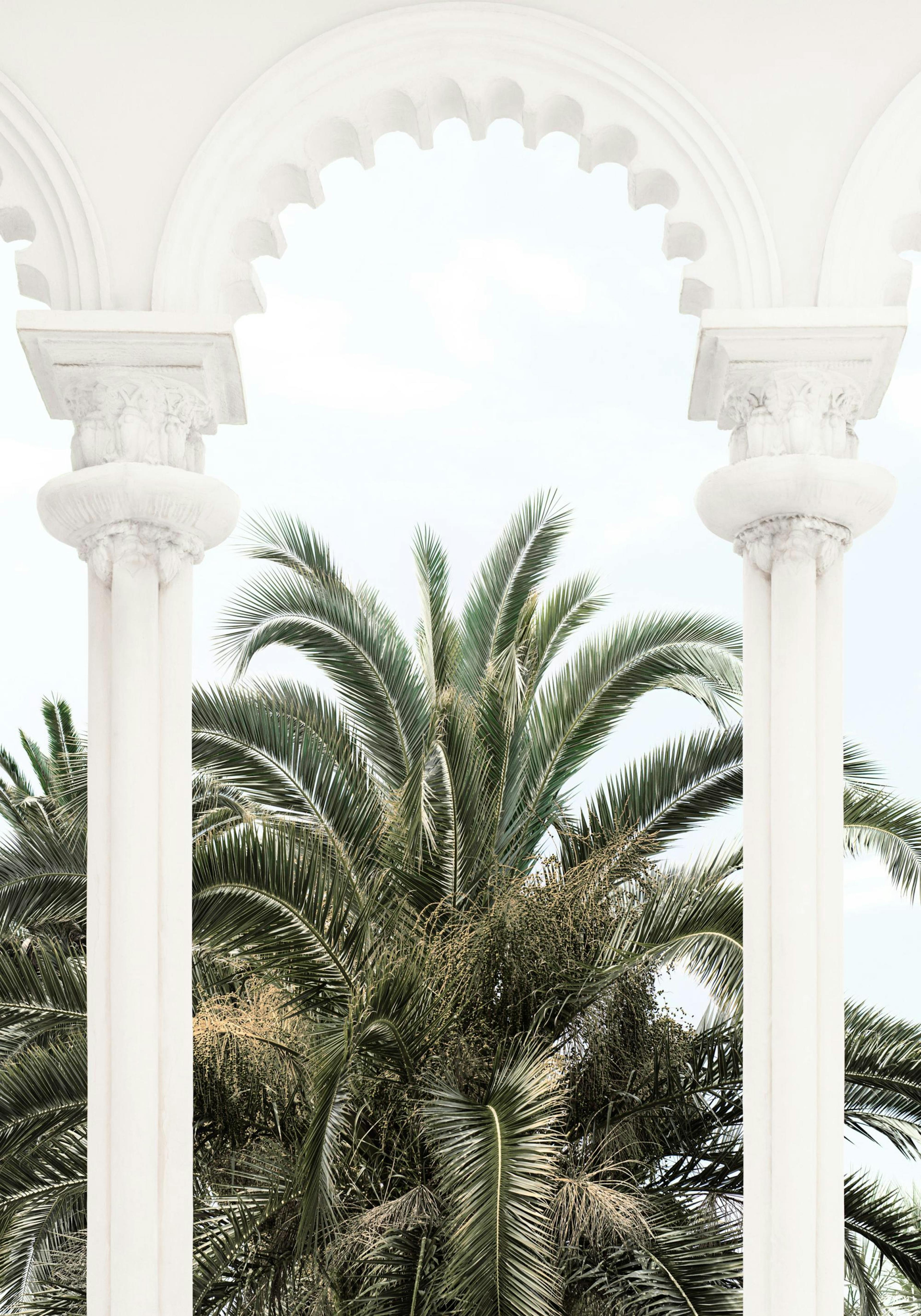 하얀 대리석 기둥과 아치형 구조물 사이로 보이는 푸른 야자수 잎이 담긴 포스터
