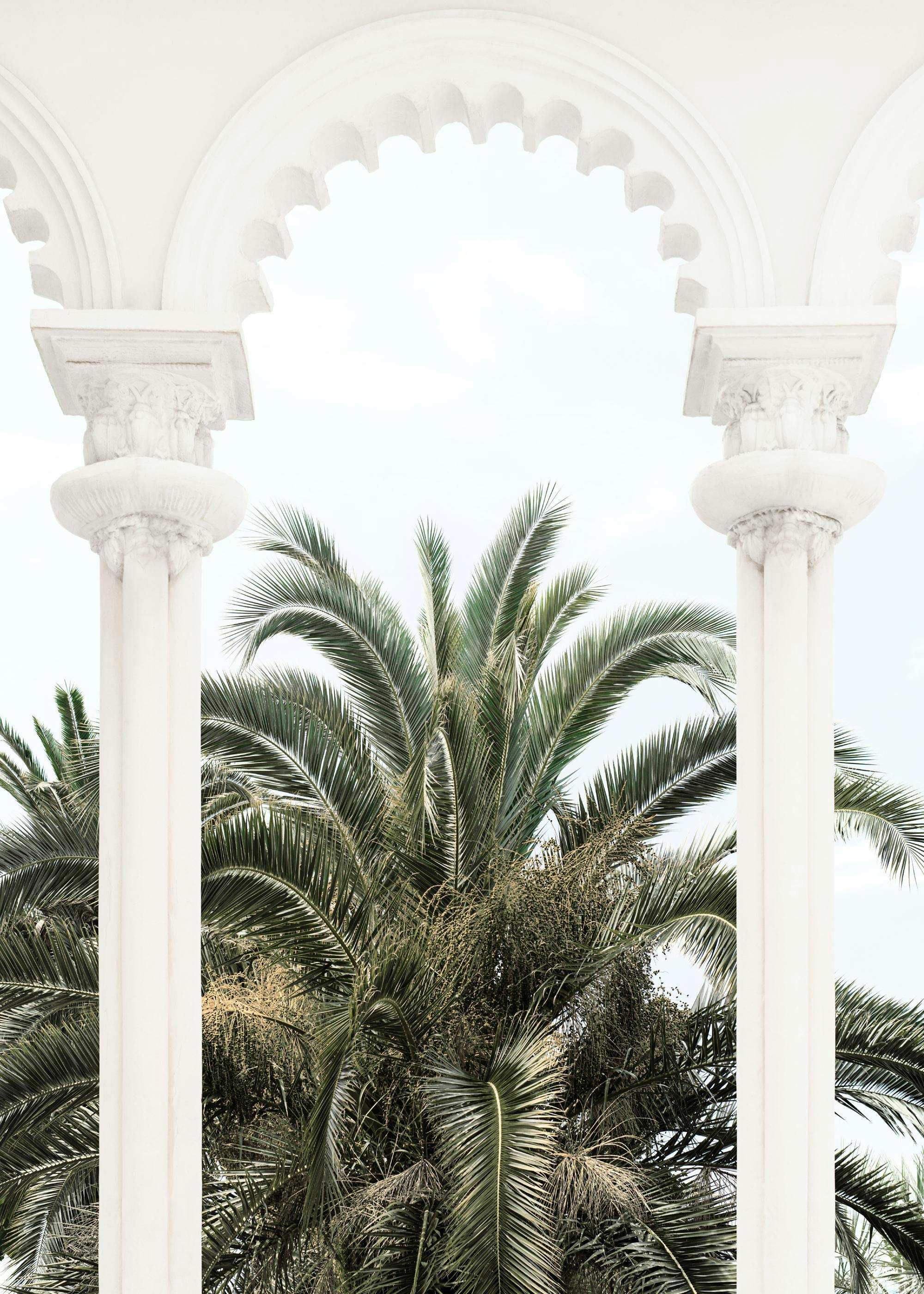 Poster avec des palmiers verts luxuriants encadrés par des arches et des piliers blancs ornementaux.