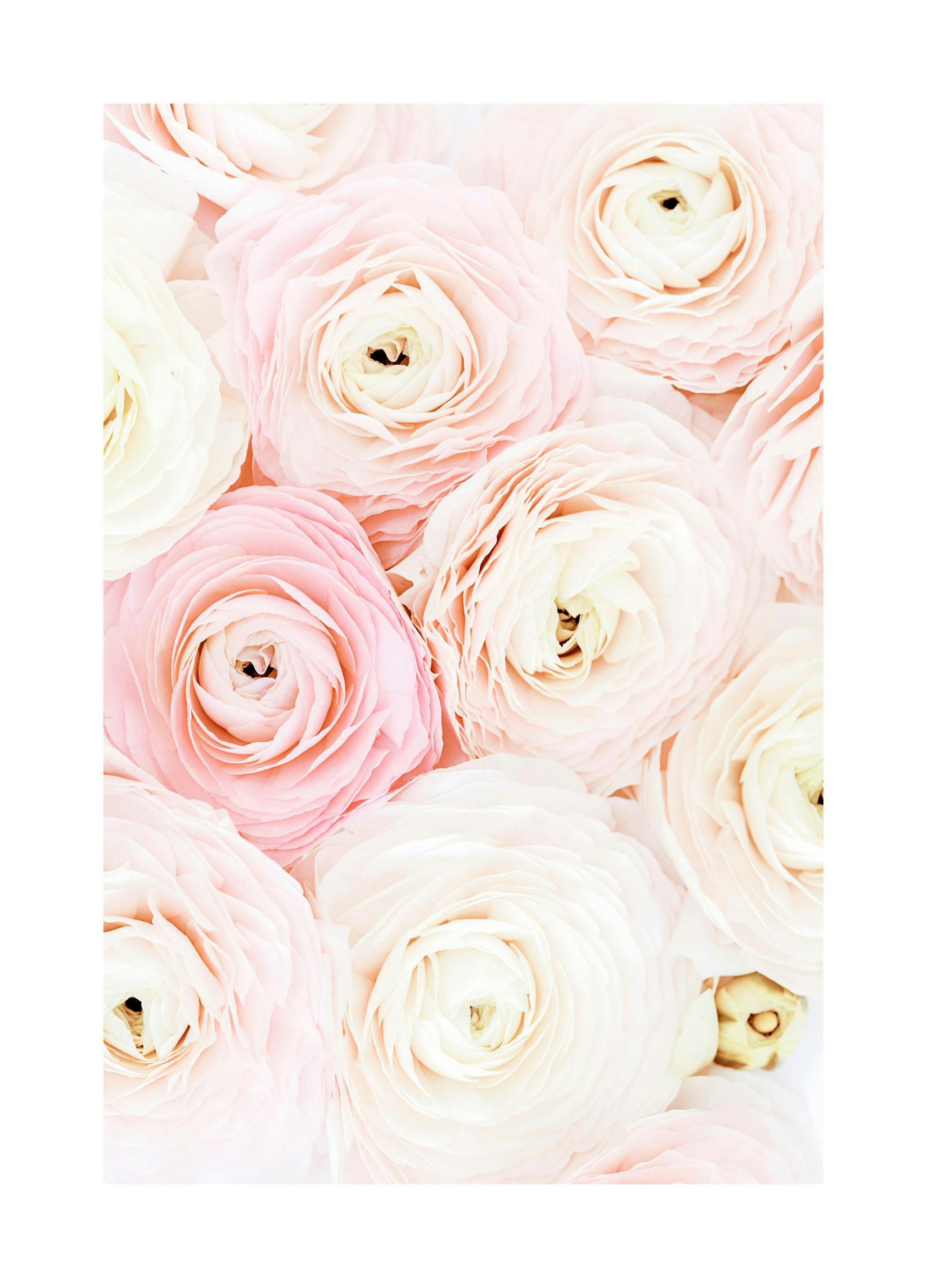 Spring Flowers Poster (21x30 cm) - Poster Store