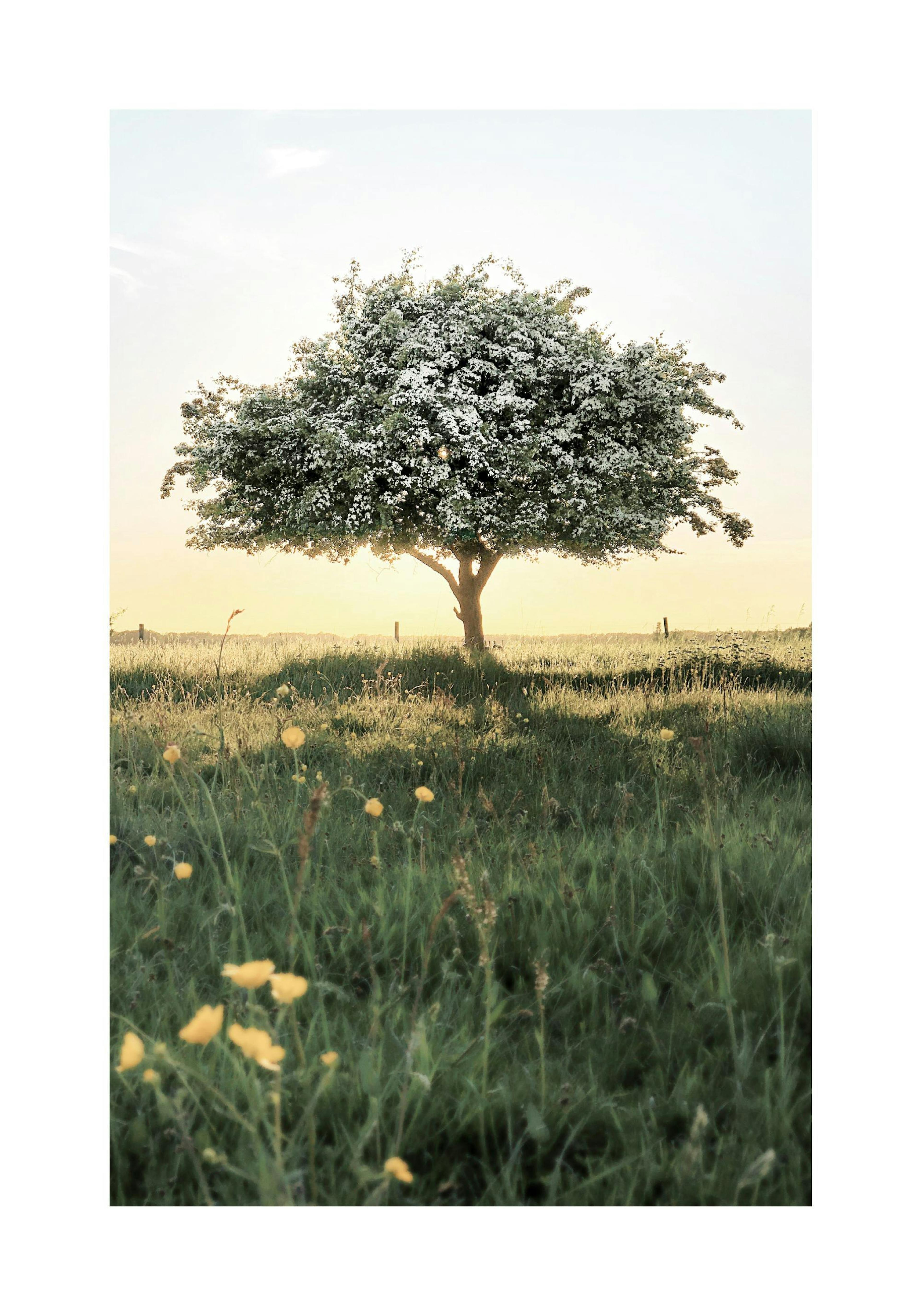 Product image: 1