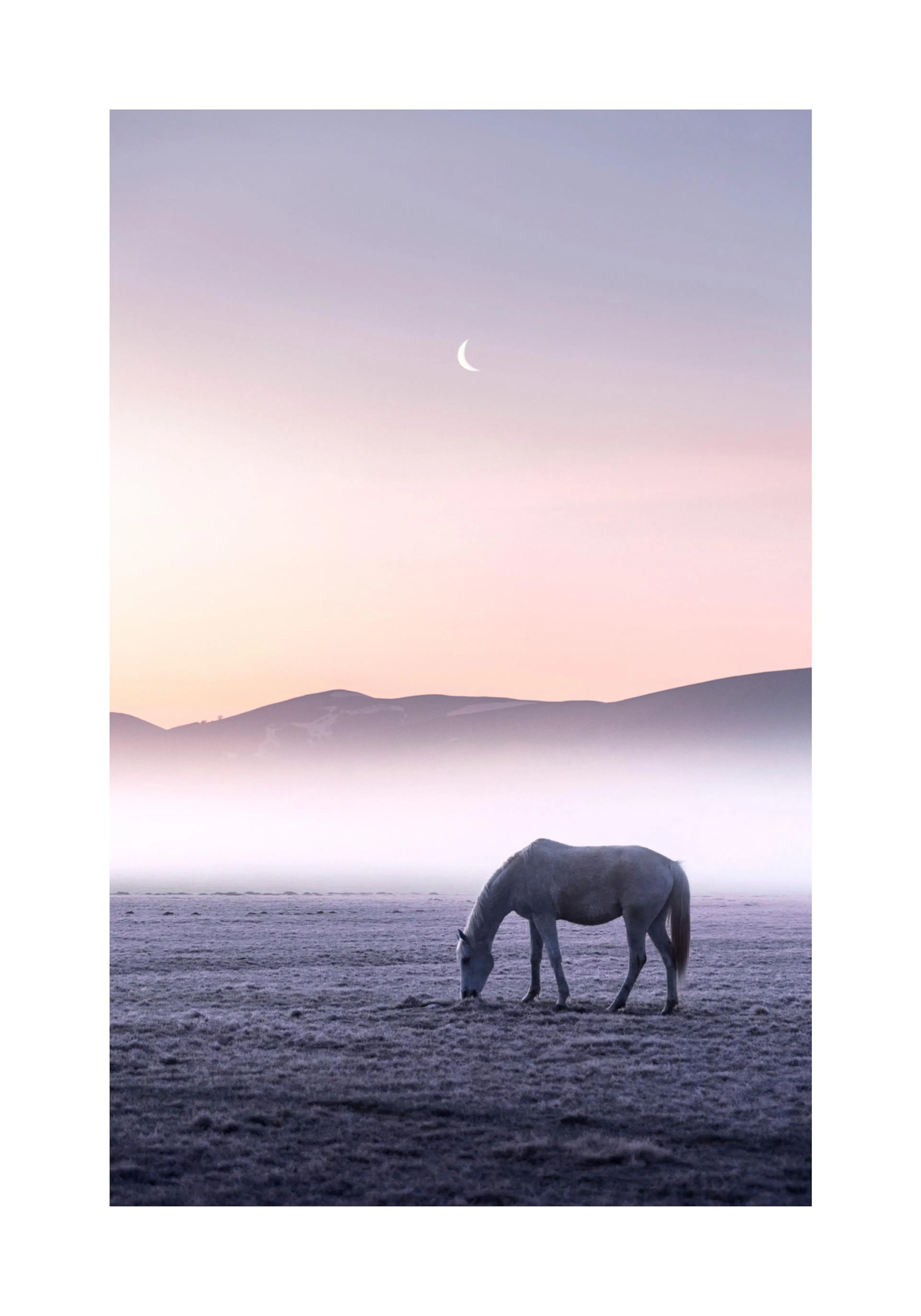 A poster featuring a white horse grazing in a frosty field under a soft pink and purple sky with a crescent moon.