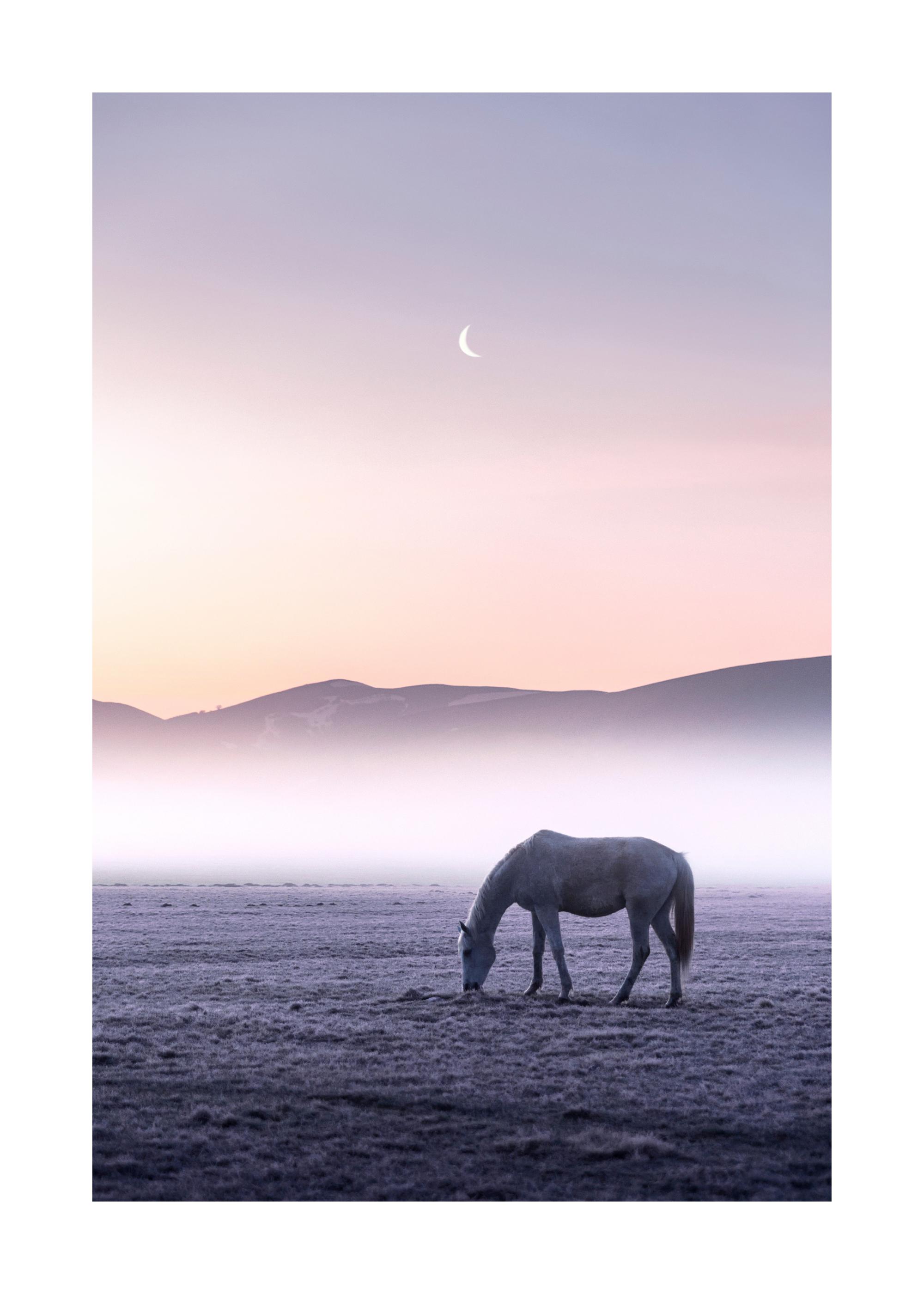 Horse in Moonlight Poster with Moonlit Serenity | Poster Store US