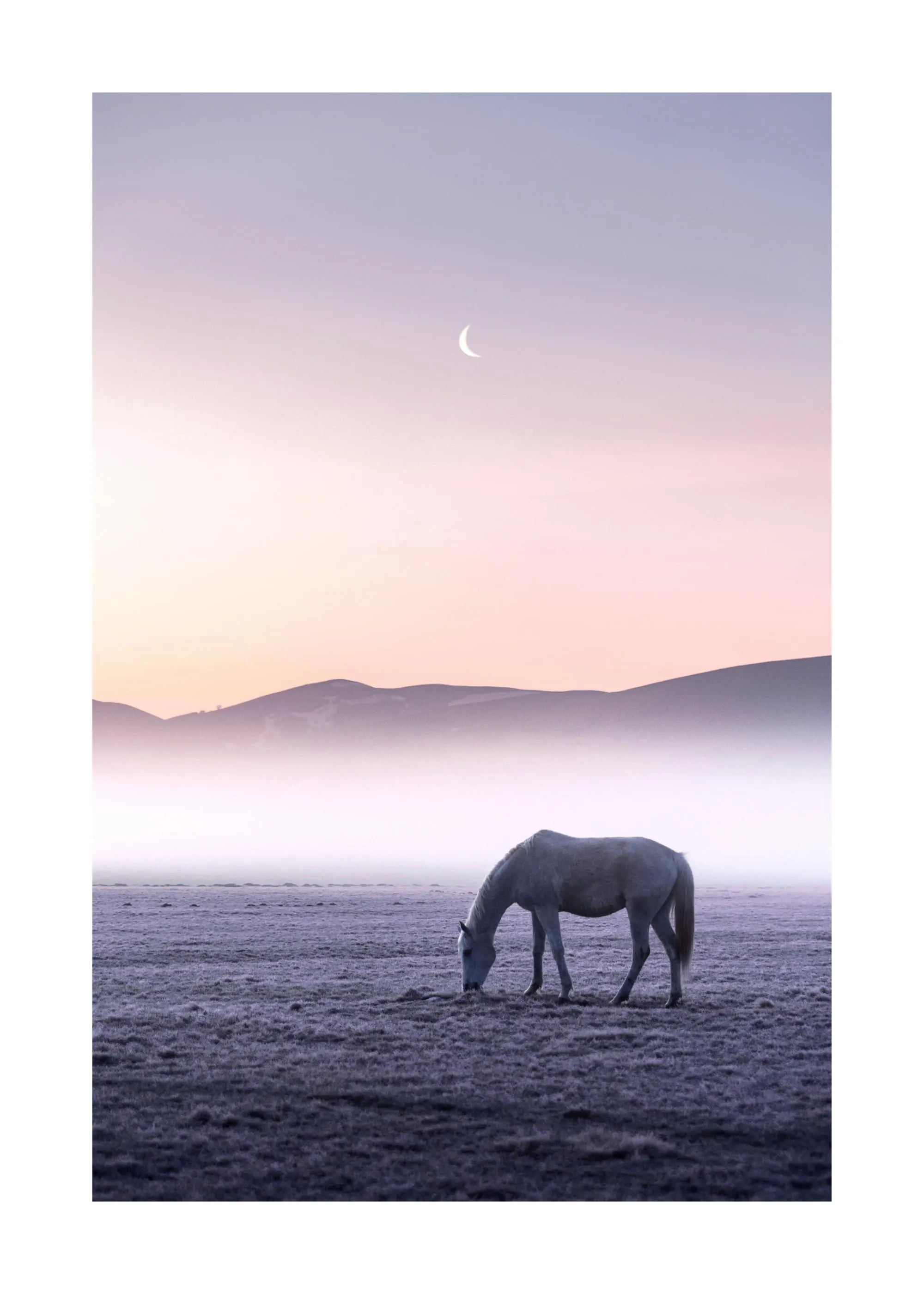 Ein Poster eines weißen Pferdes, das auf einer Lichtung im Nebel bei Sonnenaufgang mit einer Mondsichel am Himmel grast.