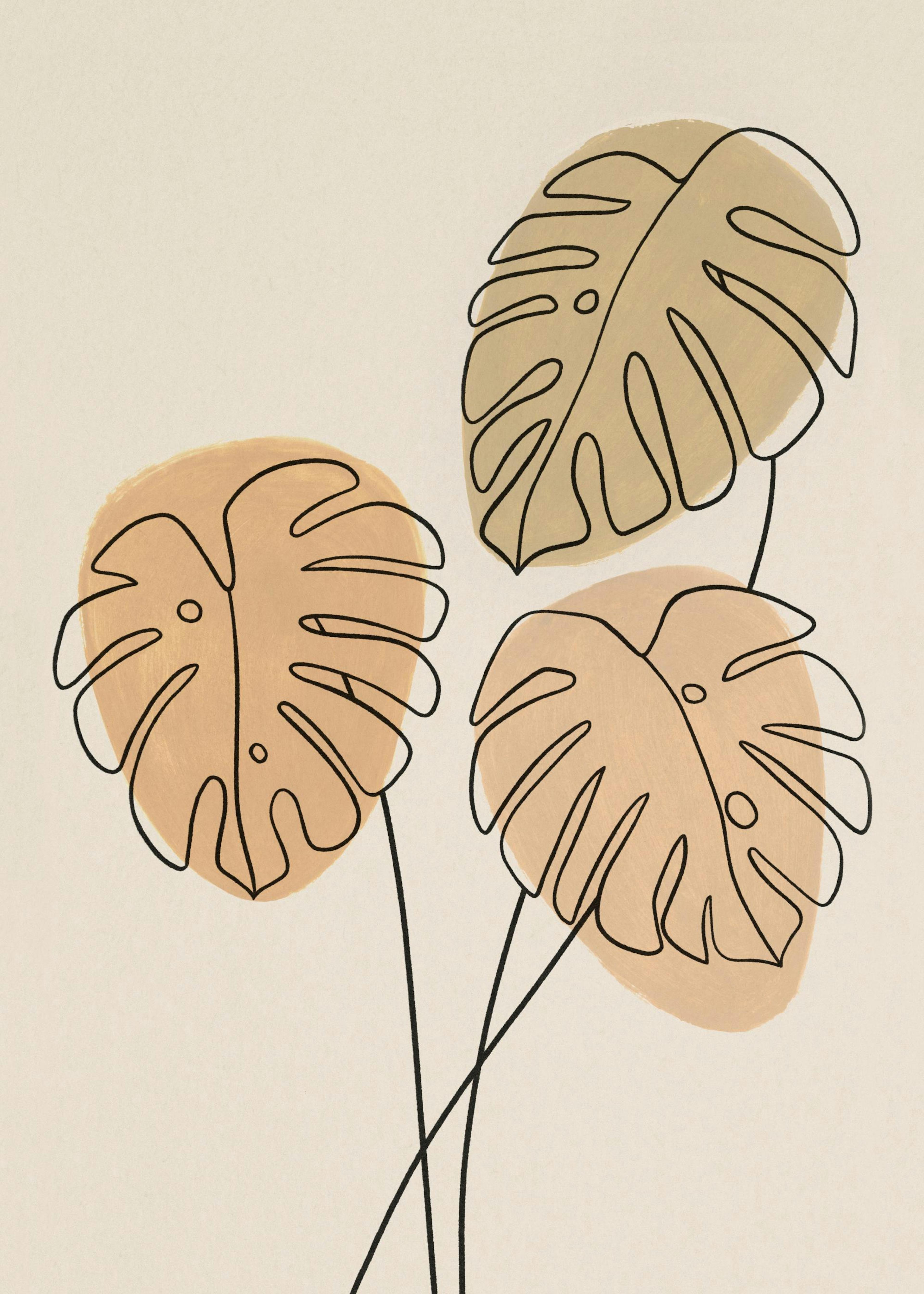 Monstera Linien Nr1 Poster 0