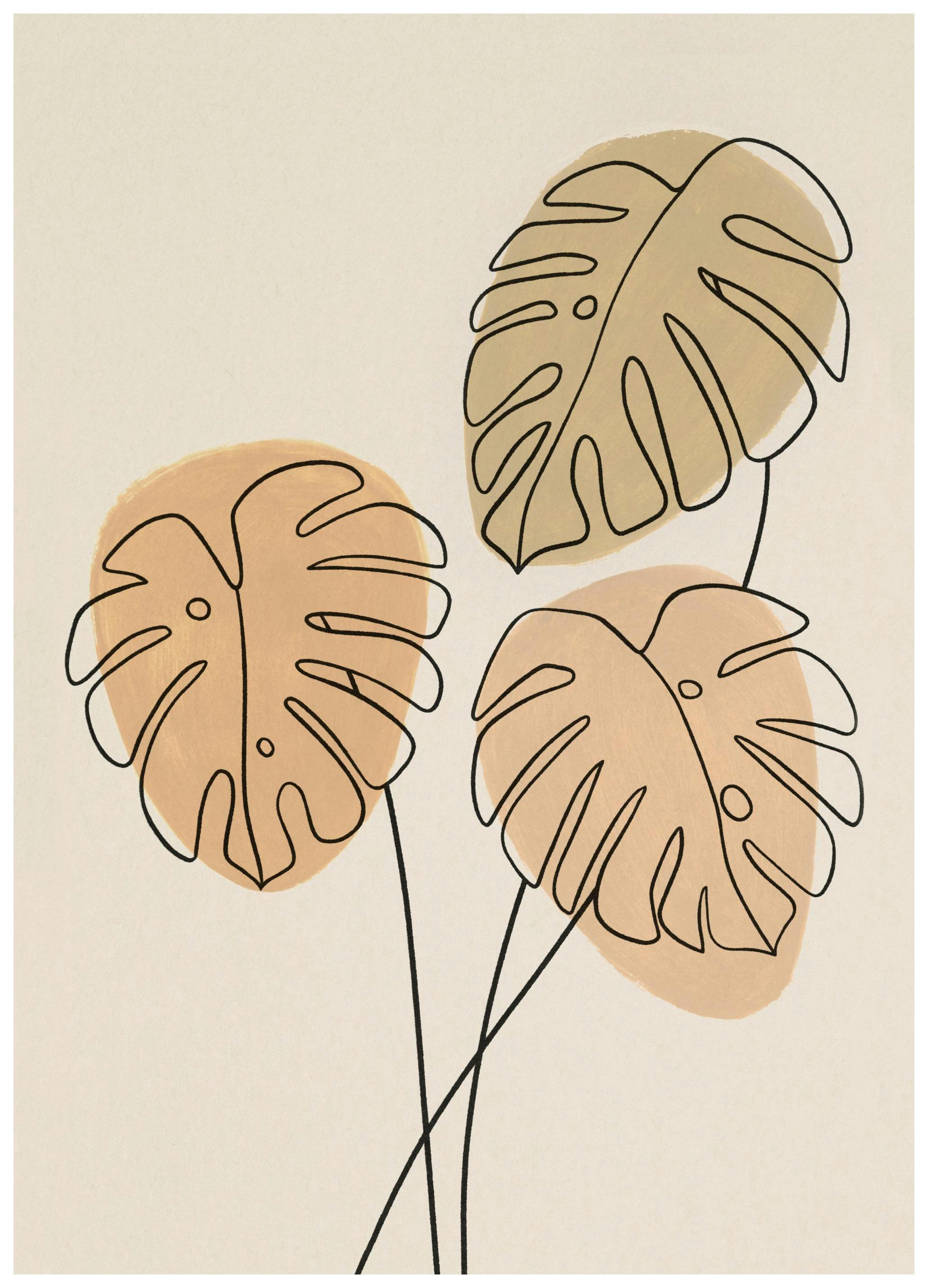 Monstera Line Nr1 Poster (30x40 cm) - Poster Store