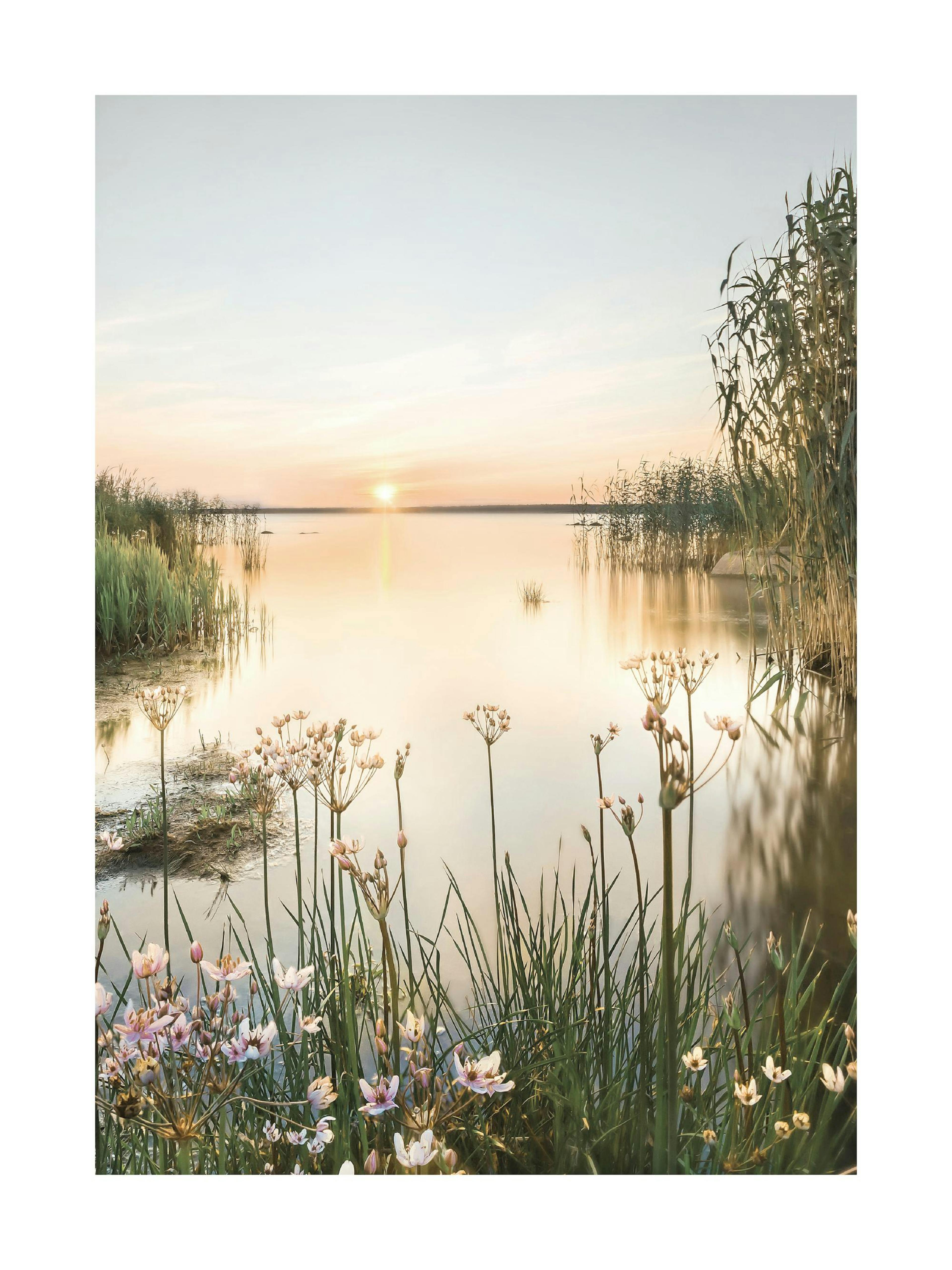 Summer Dawn Poster 0